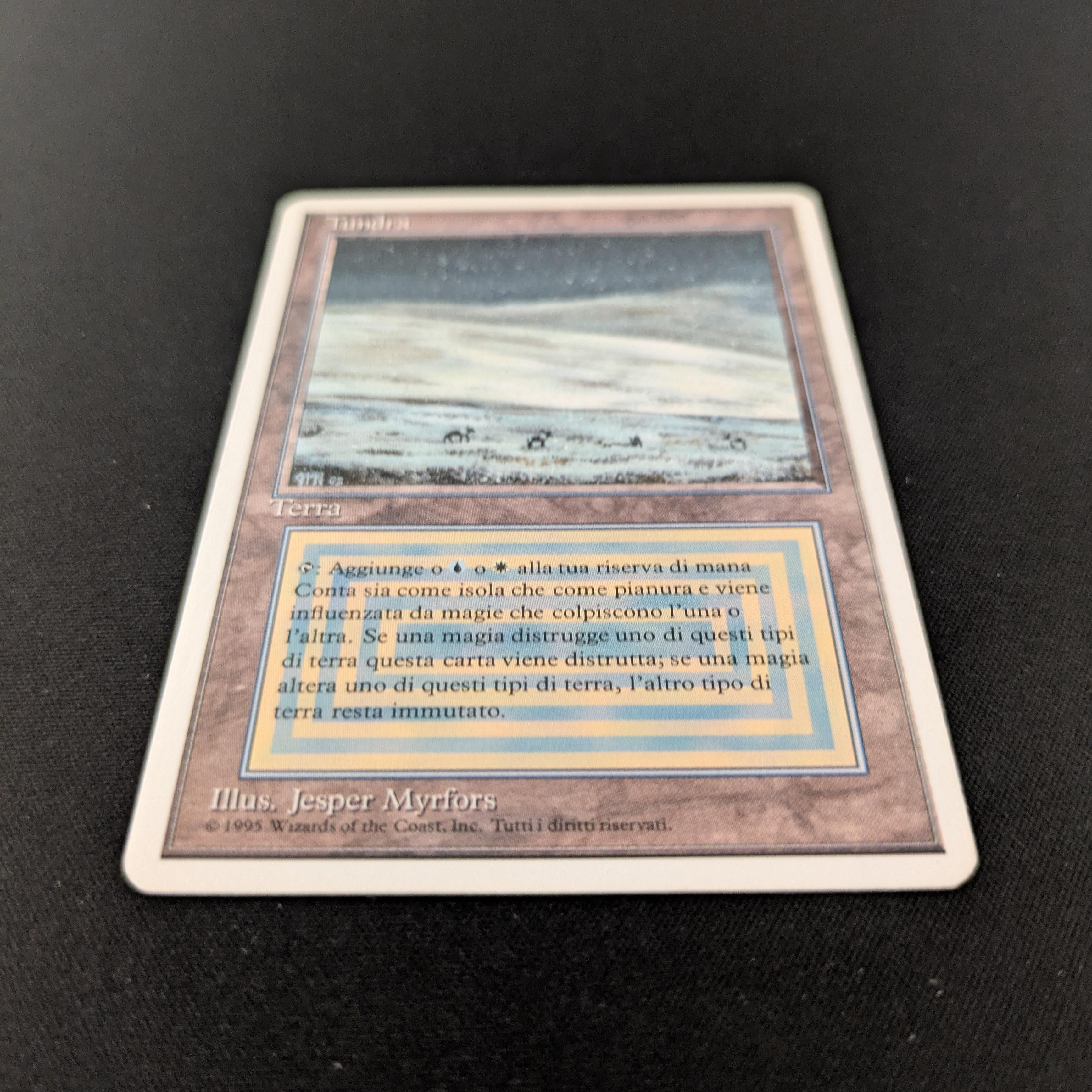 MTG Singles - Tundra - Foreign White Bordered - 