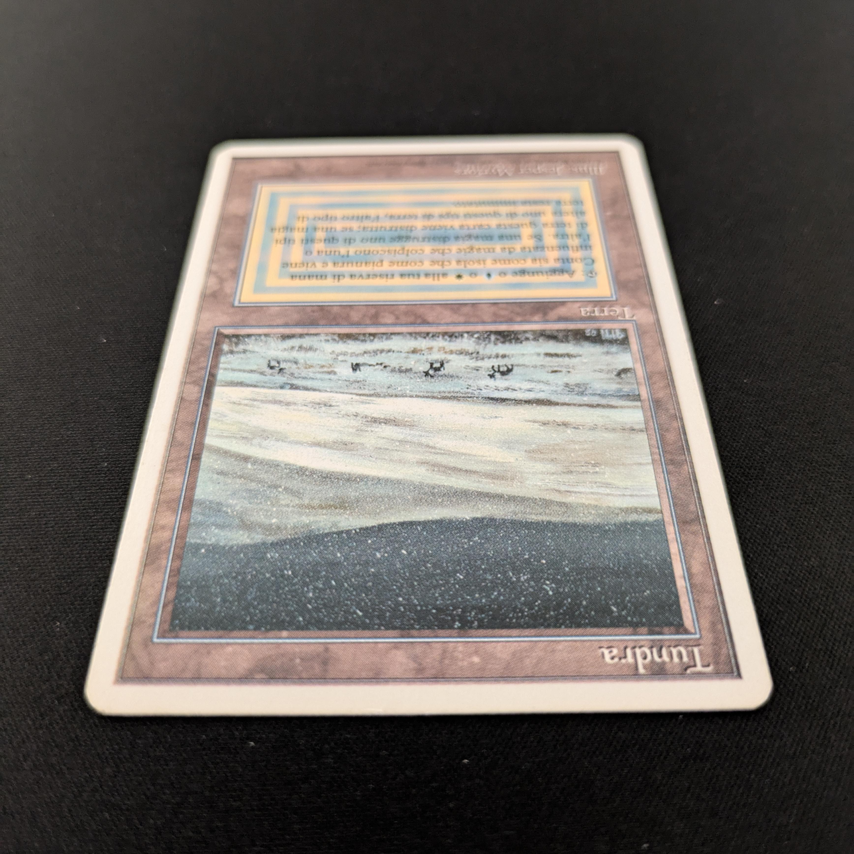 MTG Singles - Tundra - Foreign White Bordered - 