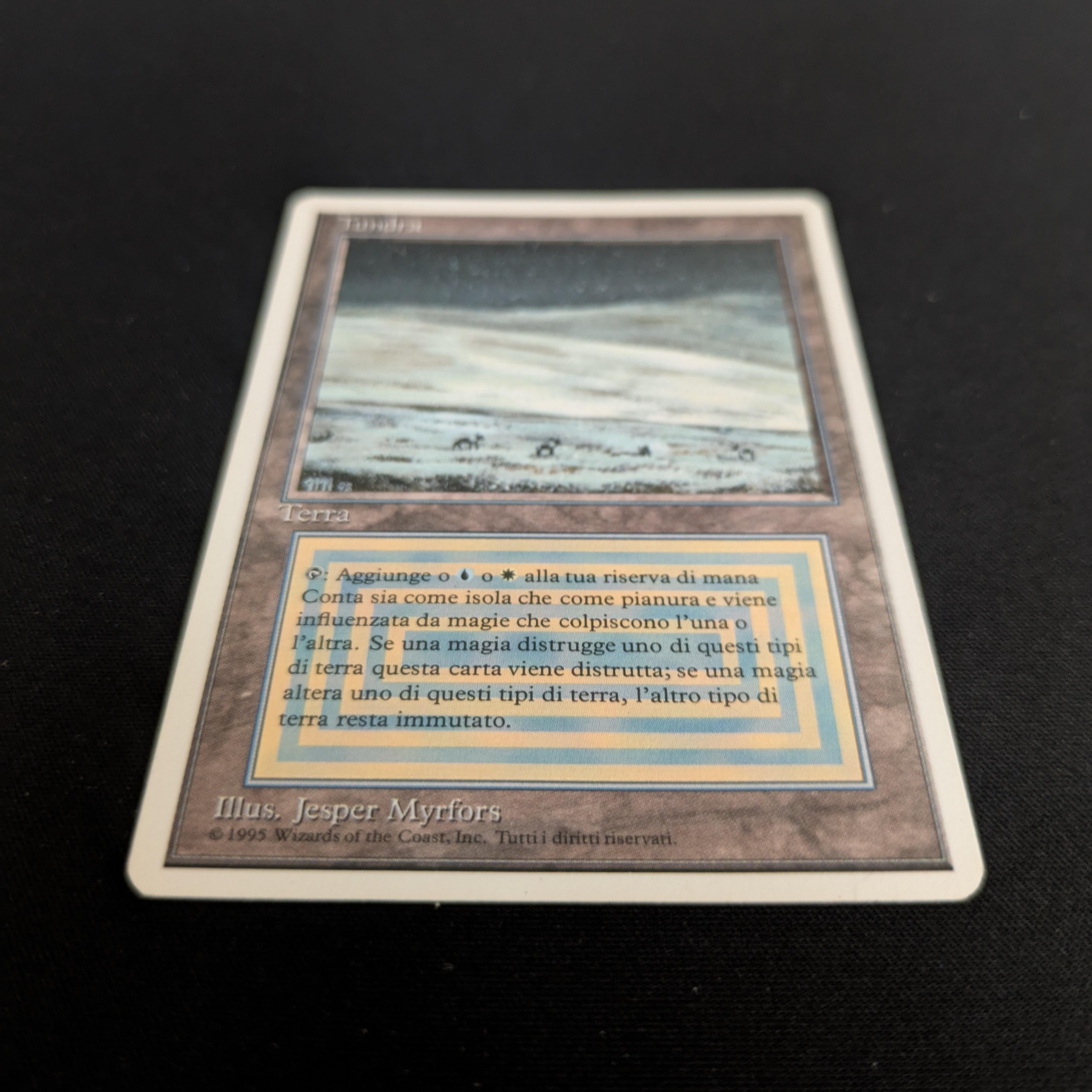 MTG Singles - Tundra - Foreign White Bordered - 