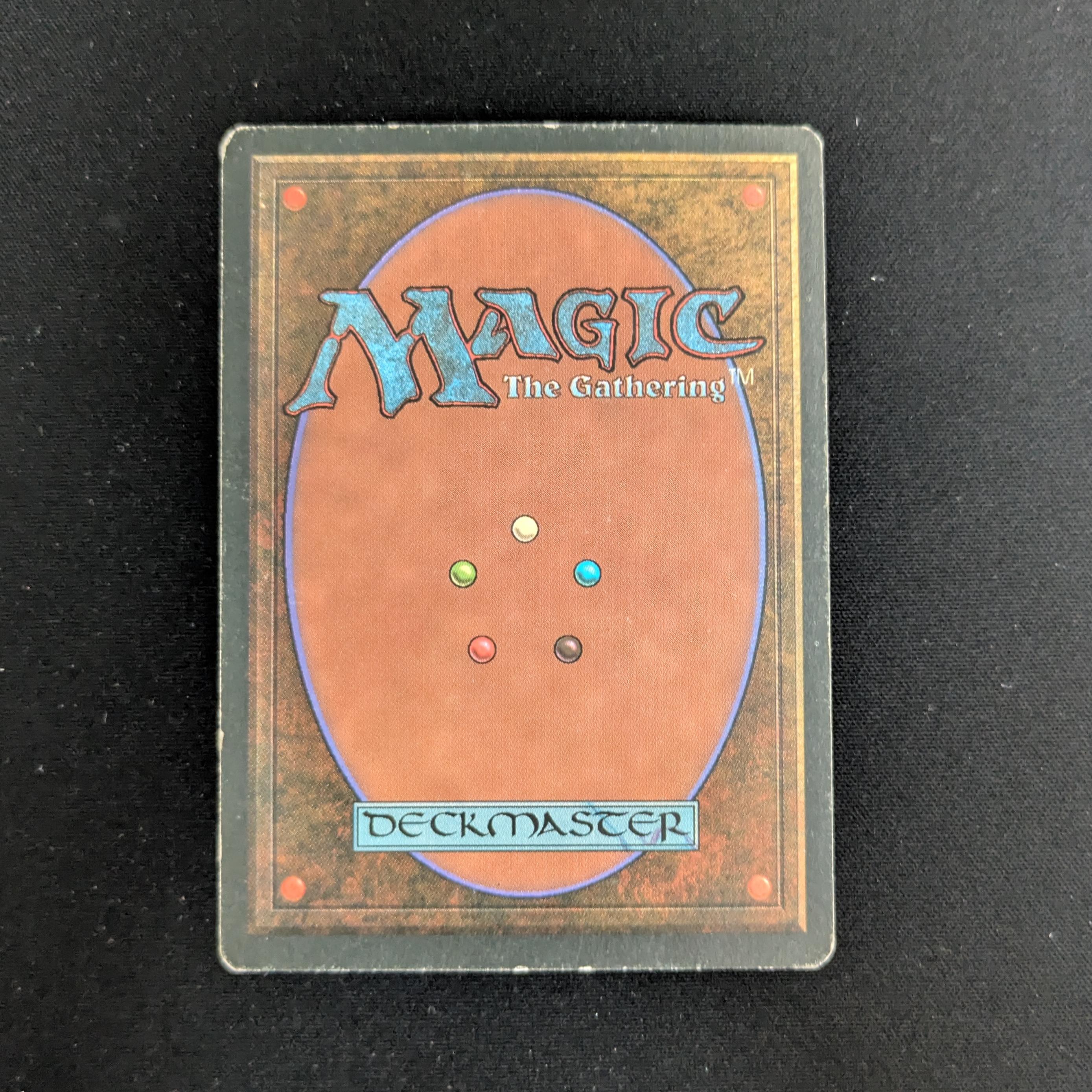 MTG Singles - Tundra - Foreign White Bordered - 