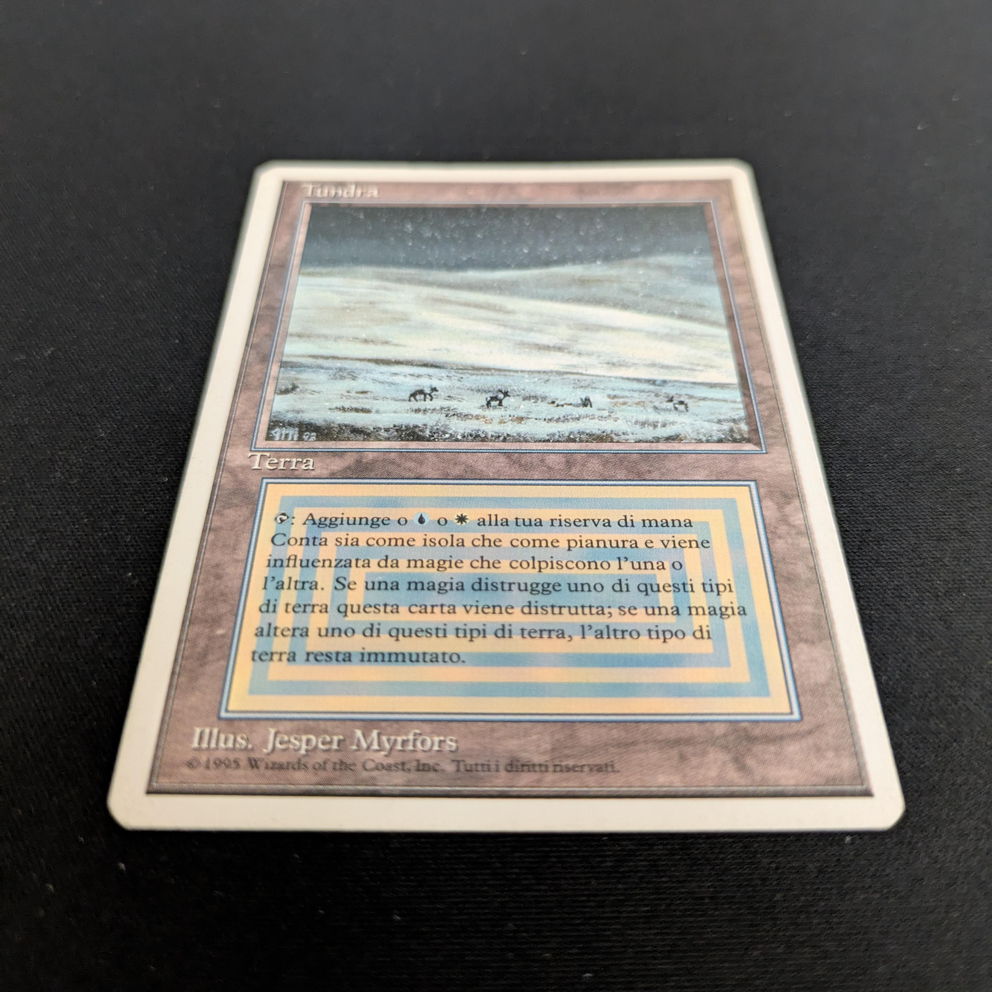 MTG Singles - Tundra - Foreign White Bordered - 