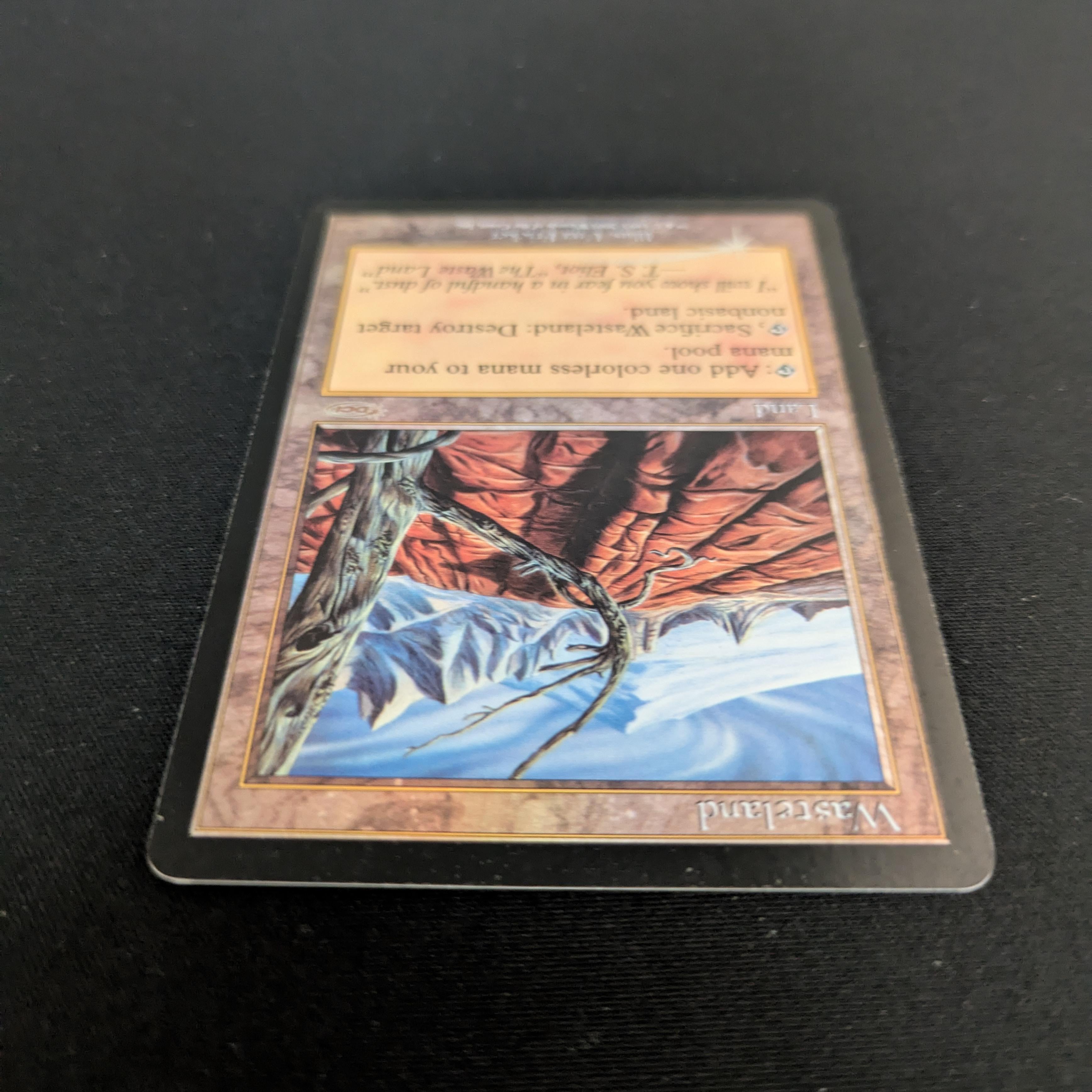 MTG Singles - [FOIL] Wasteland - Player Rewards Promos - EX - 