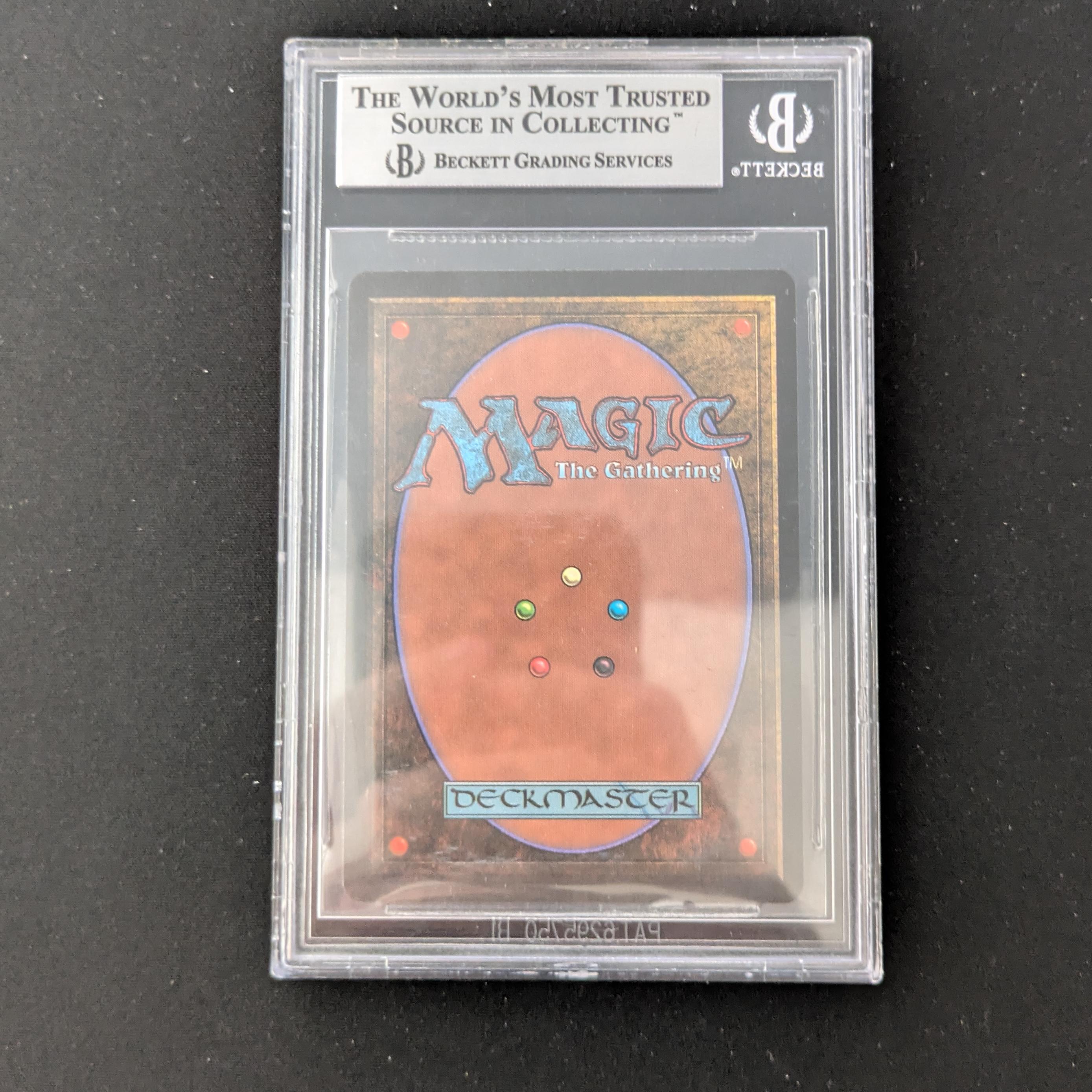MTG Singles - Shivan Dragon - Beta - 
