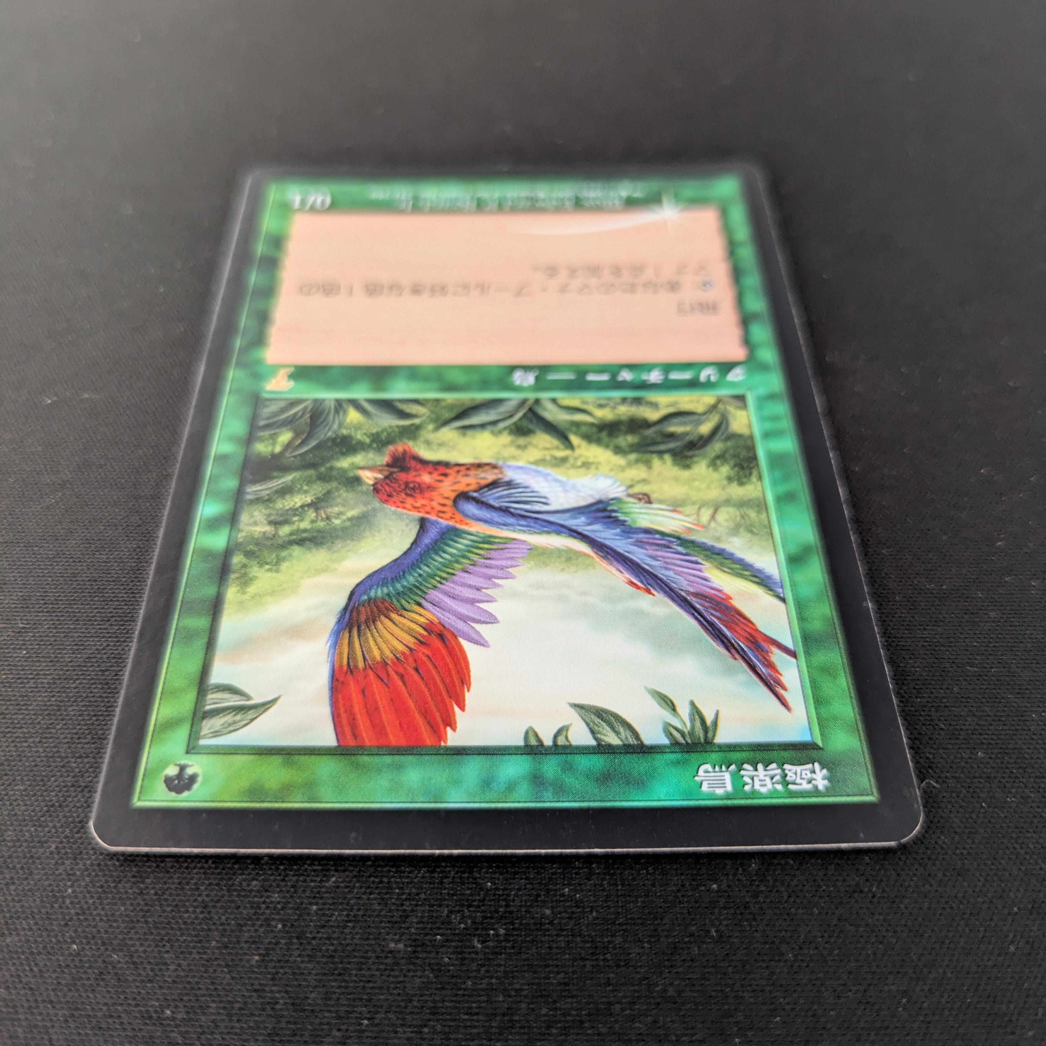 MTG Singles - [FOIL] Birds of Paradise - Seventh Edition - NM - 