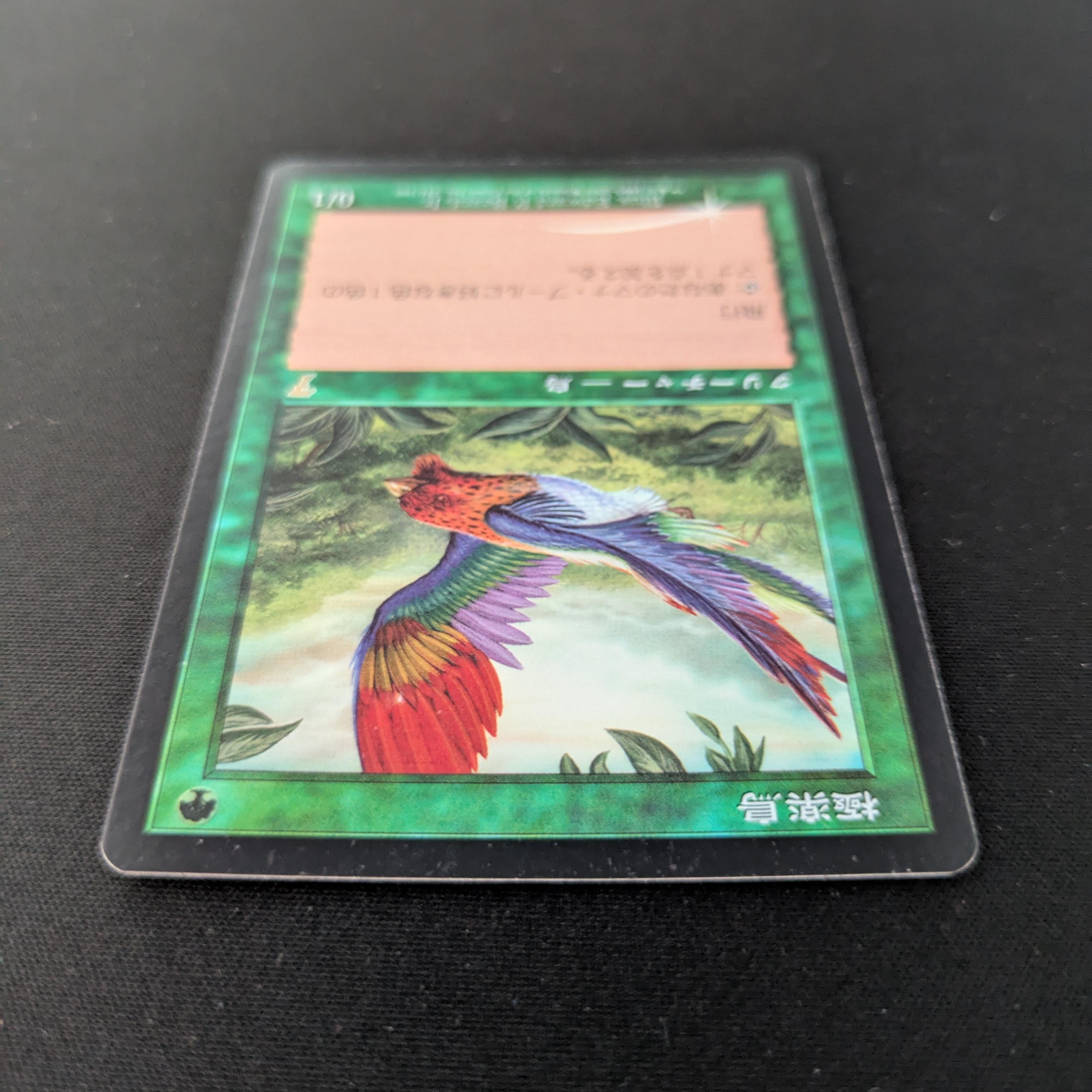 MTG Singles - [FOIL] Birds of Paradise - Seventh Edition - EX - 