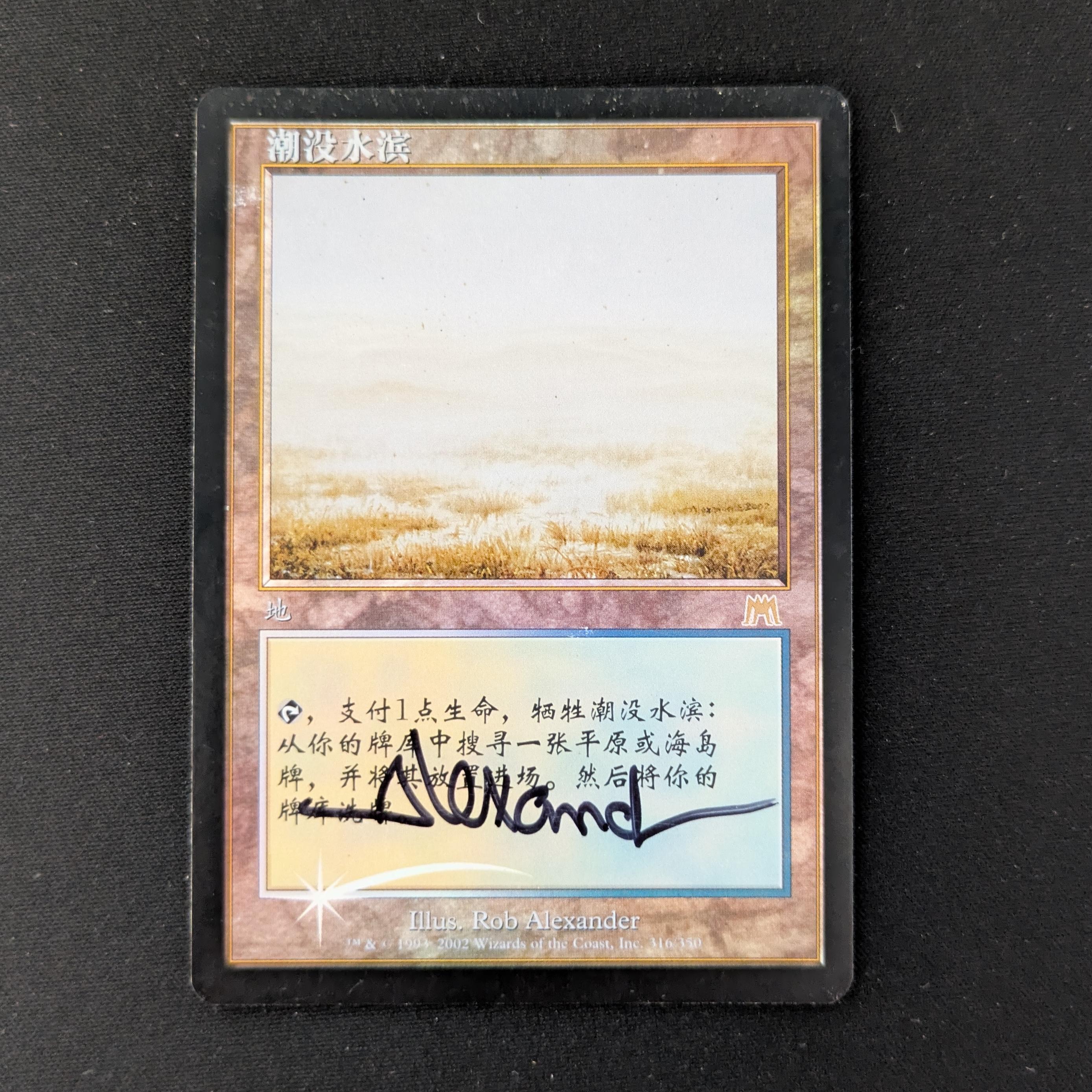 MTG Singles - [FOIL] Flooded Strand - Onslaught - PL, SIGNED - 