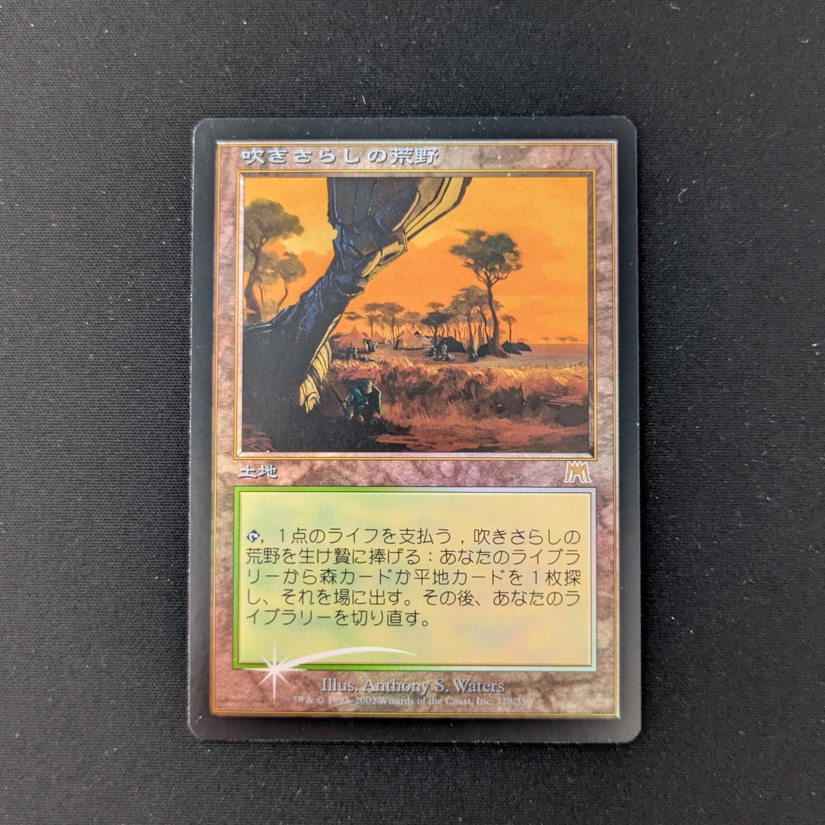MTG Singles - [FOIL] Windswept Heath - Onslaught - NM - 