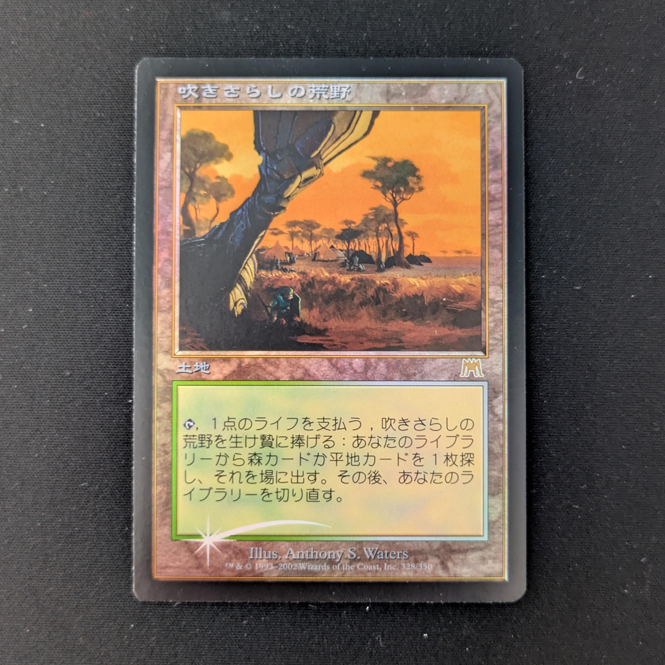 MTG Singles - [FOIL] Windswept Heath - Onslaught - EX - 