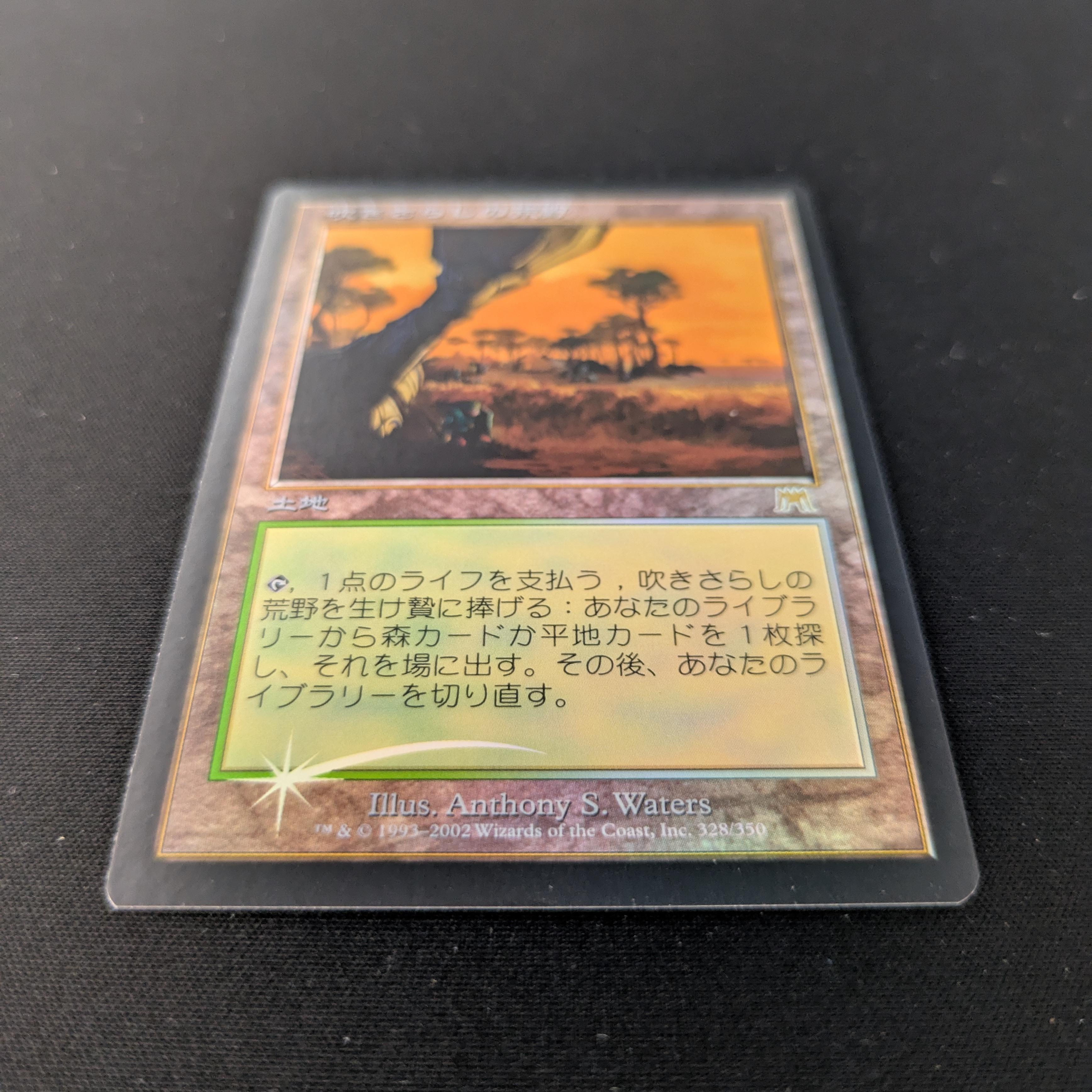 MTG Singles - [FOIL] Windswept Heath - Onslaught - EX - 