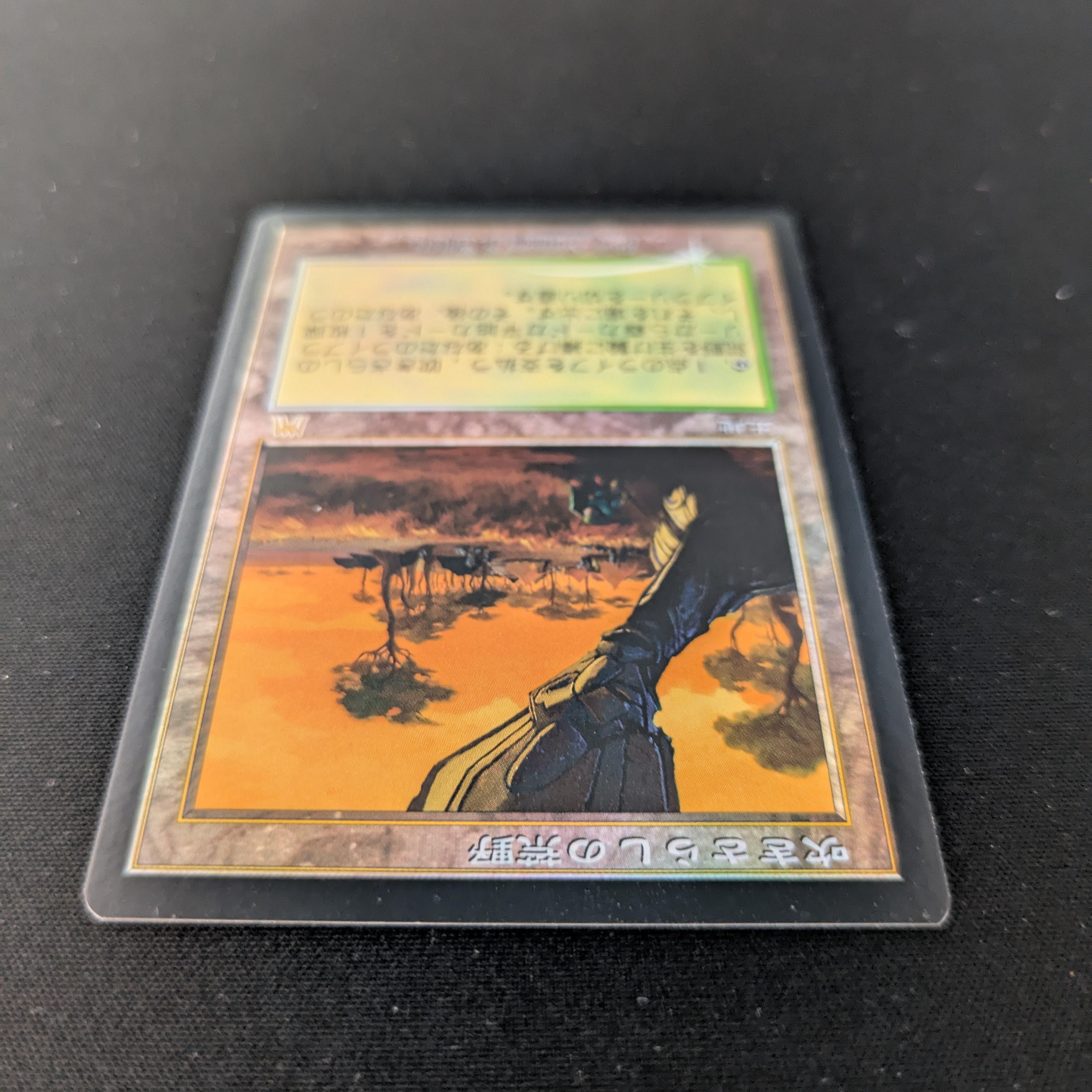 MTG Singles - [FOIL] Windswept Heath - Onslaught - EX - 