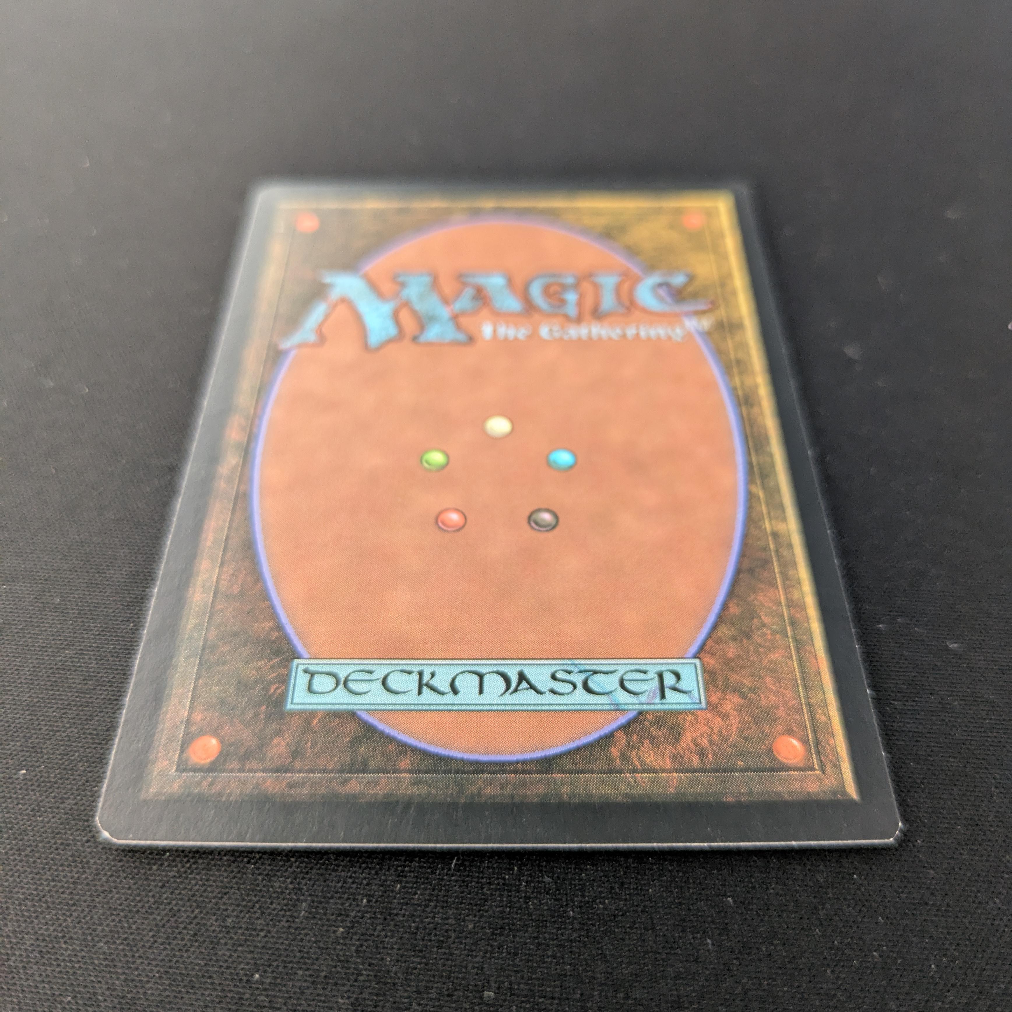 MTG Singles - [FOIL] Windswept Heath - Onslaught - EX - 
