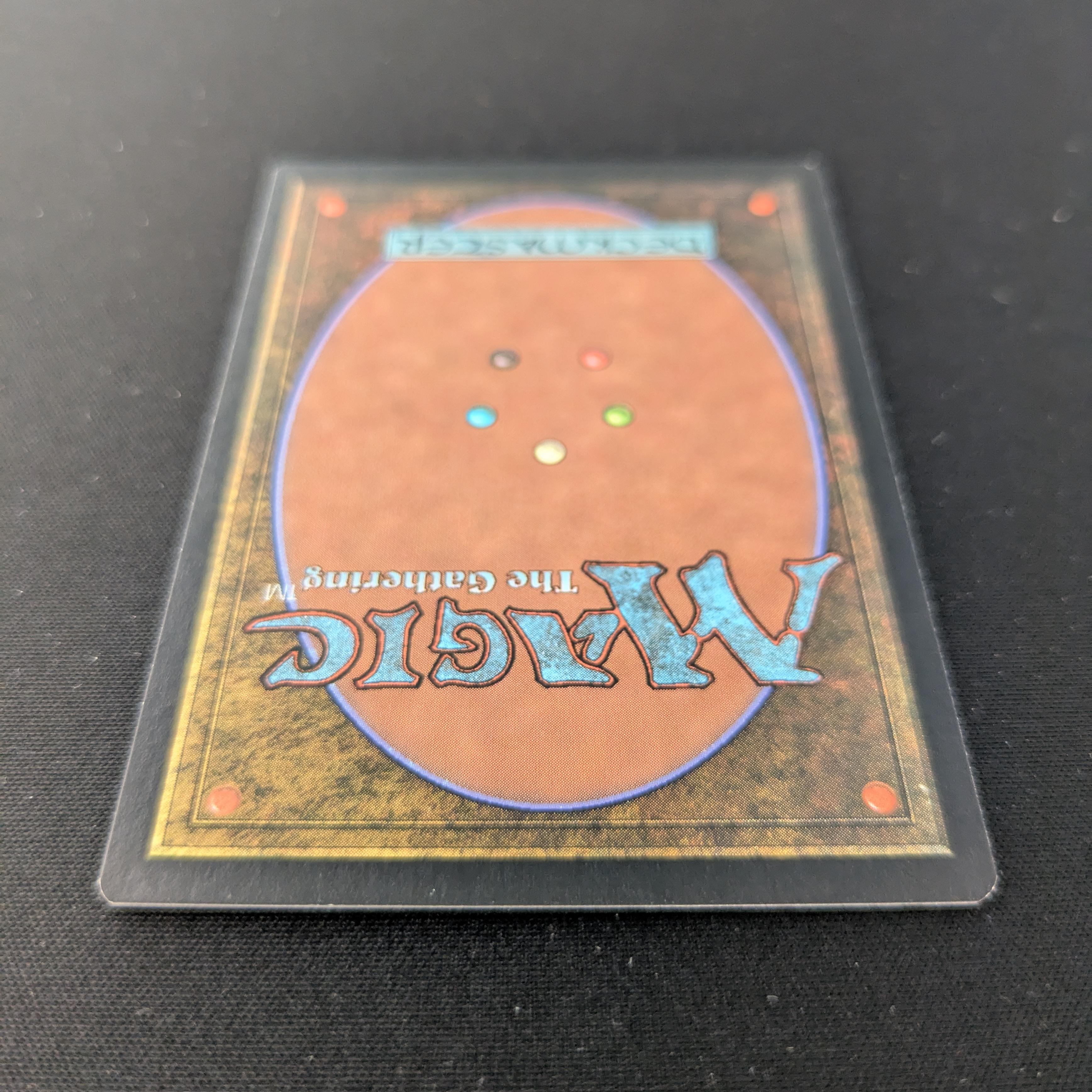MTG Singles - [FOIL] Windswept Heath - Onslaught - EX - 