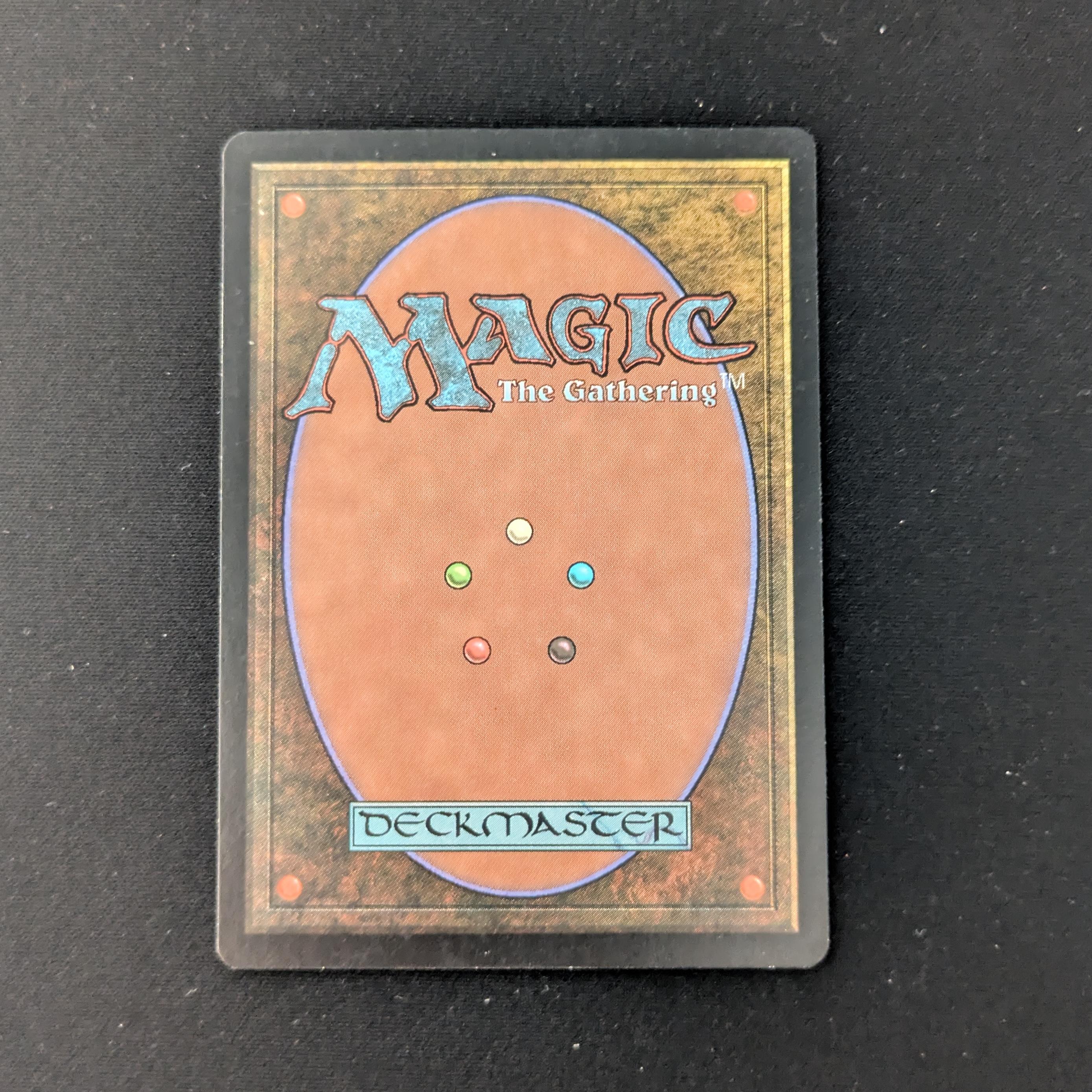 MTG Singles - Island - Guru Lands - EX, SIGNED BY GARFIELD & NIELSON - 