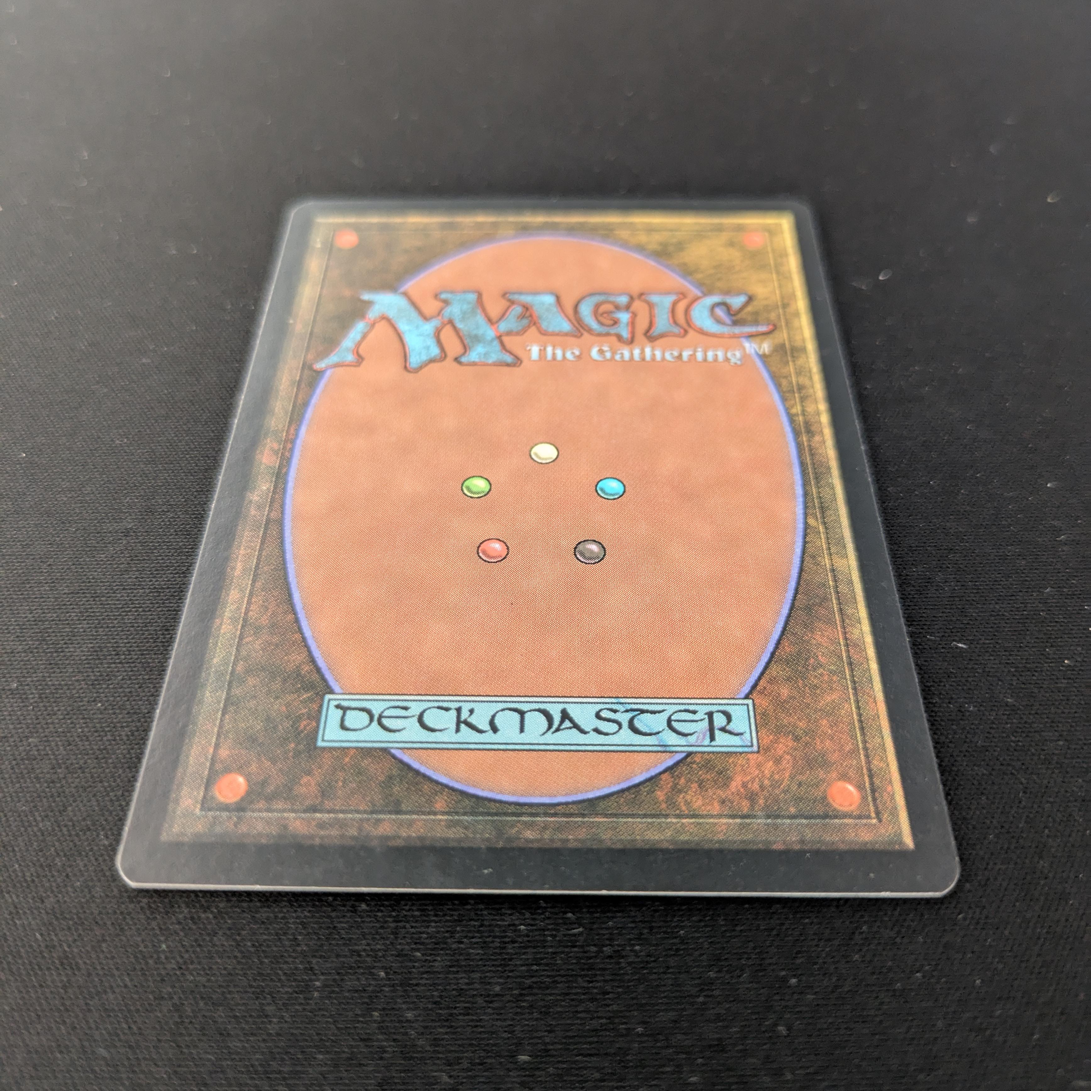 MTG Singles - Island - Guru Lands - EX, SIGNED BY GARFIELD & NIELSON - 