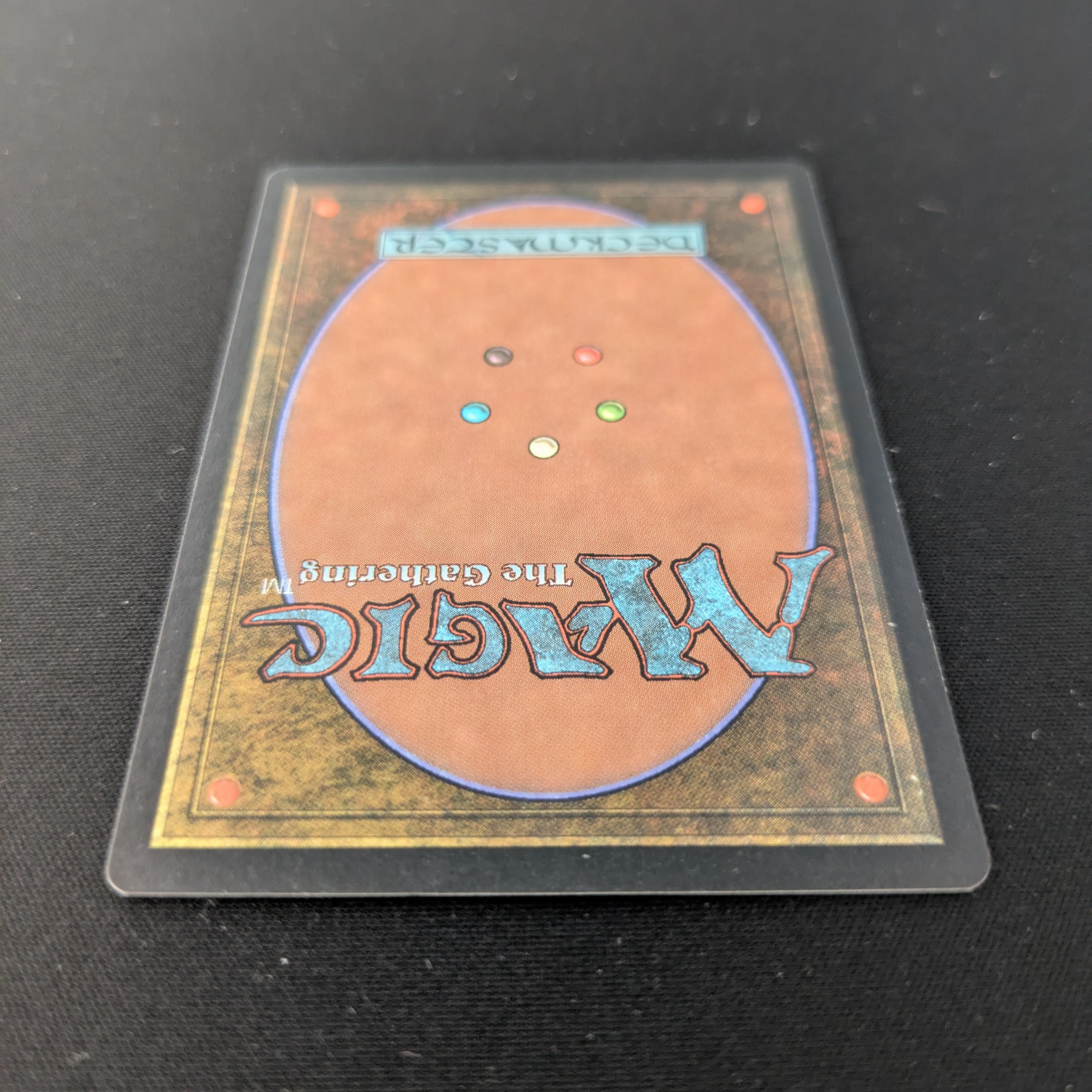 MTG Singles - Island - Guru Lands - EX, SIGNED BY GARFIELD & NIELSON - 