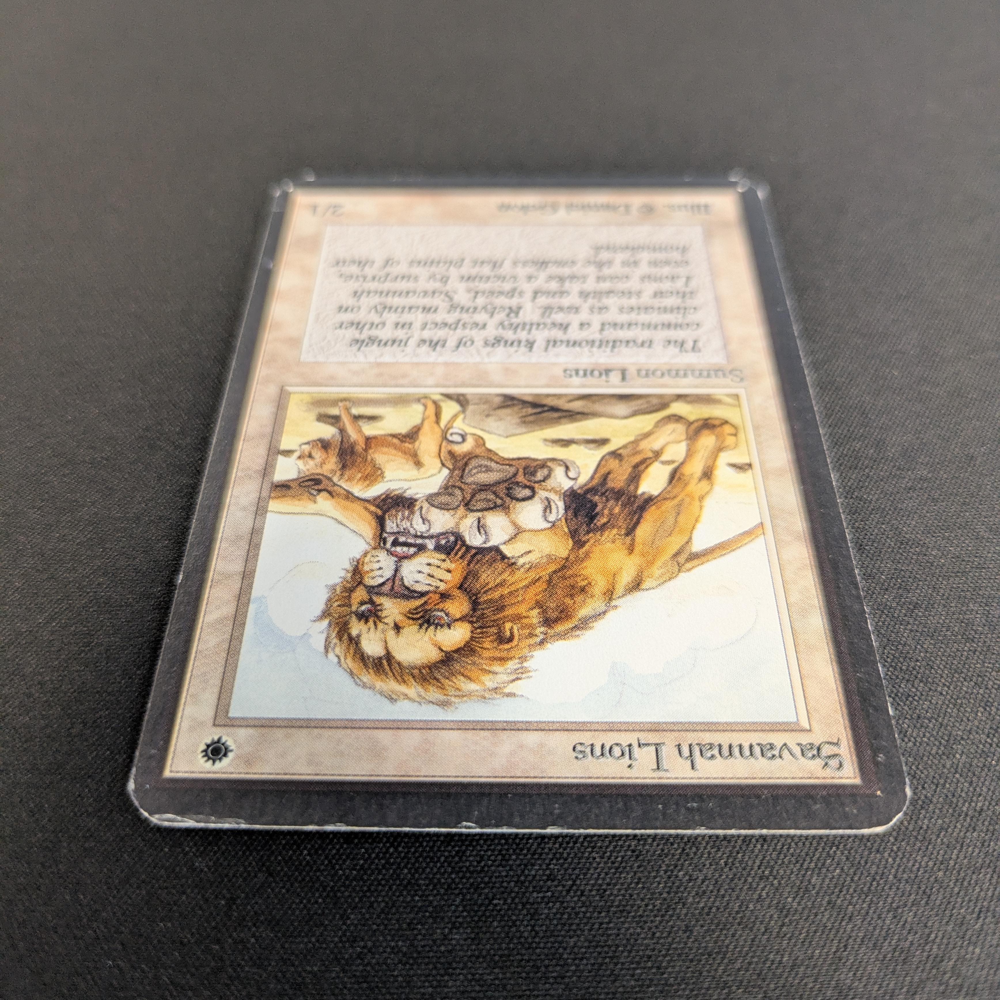 MTG Singles - Savannah Lions - Alpha - 
