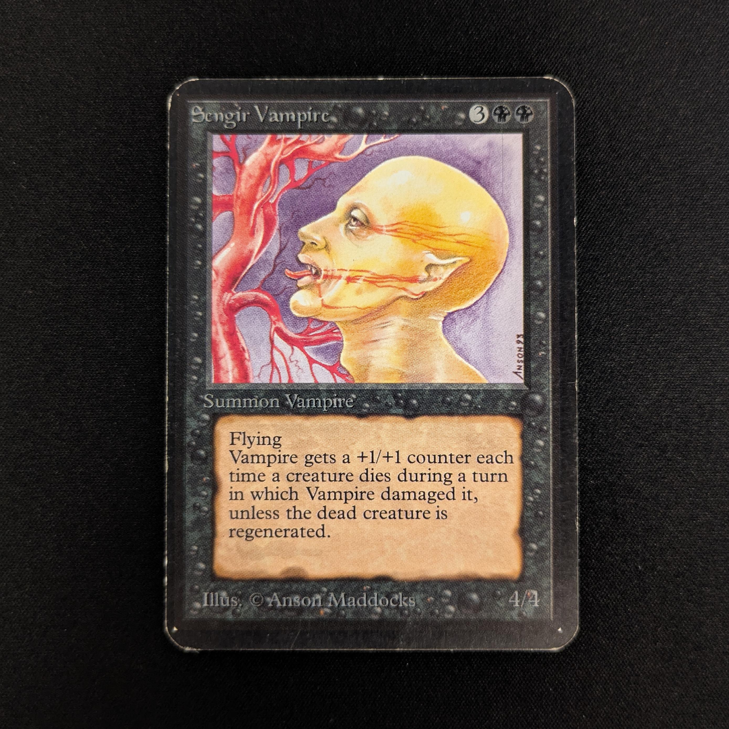 MTG Singles - Sengir Vampire - Alpha - LP - 26900