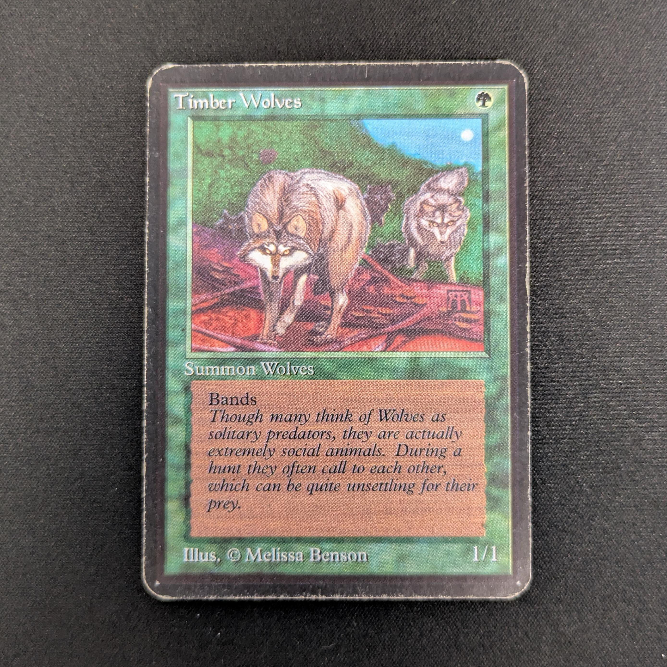 MTG Singles - Timber Wolves - Alpha - LP - 26926
