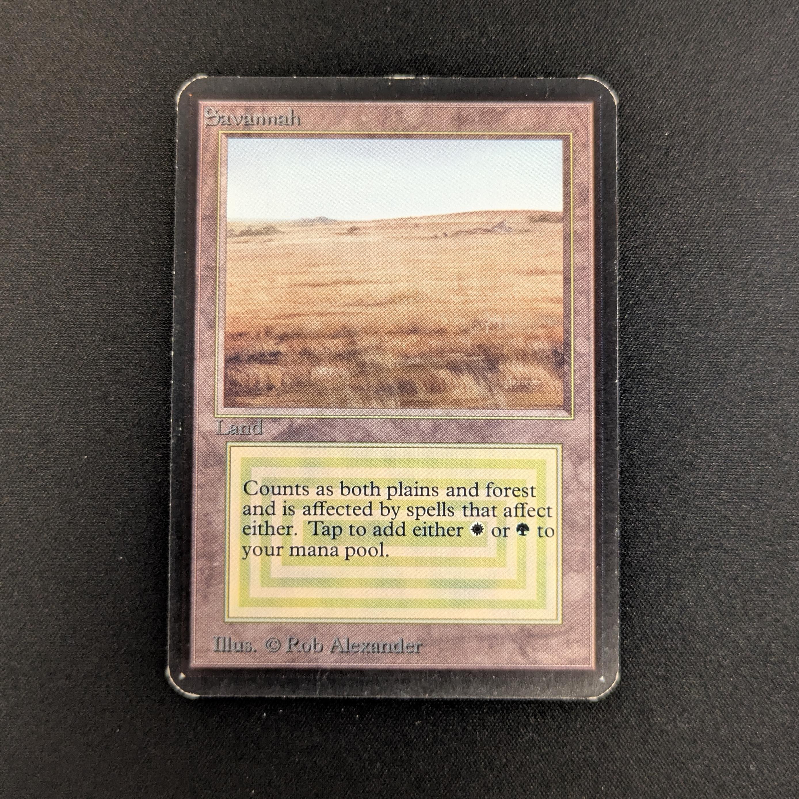 MTG Singles - Savannah - Alpha - LP - 26947