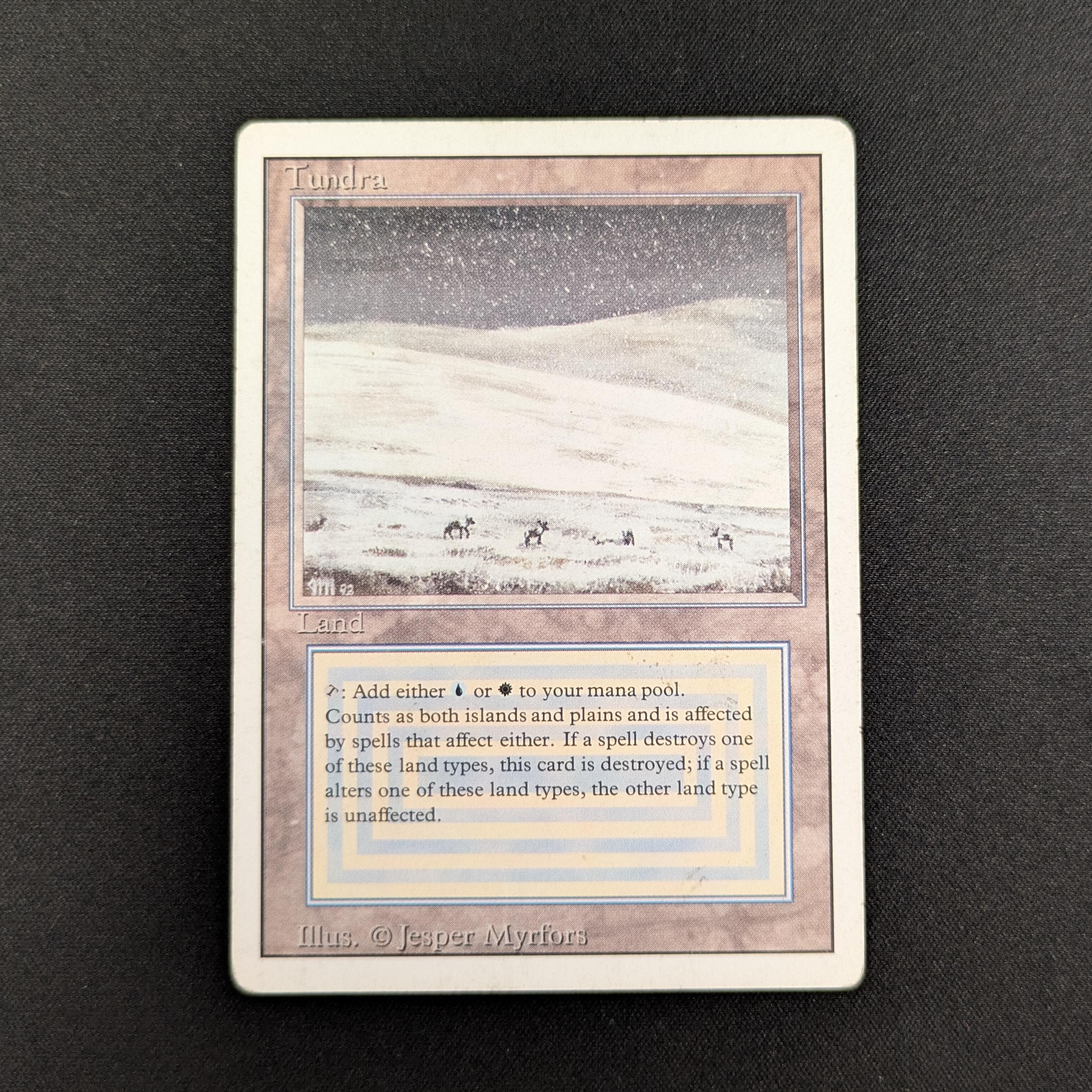 MTG Singles - Tundra - Revised - PL - 26953
