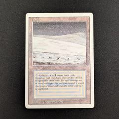 MTG tundra 英語 ① Tundra__59307.1648839214.386.