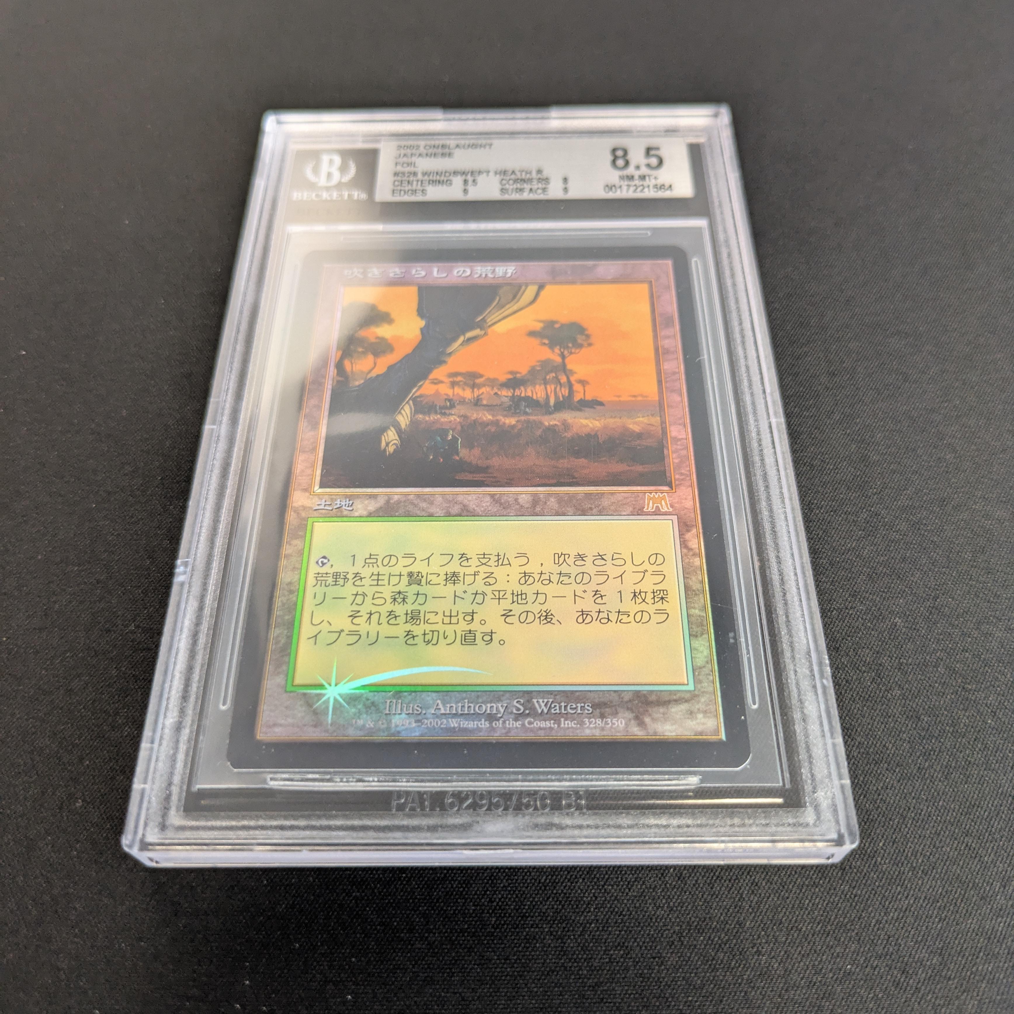 MTG Singles - [FOIL] Windswept Heath - Onslaught - BGS 8.5 - 