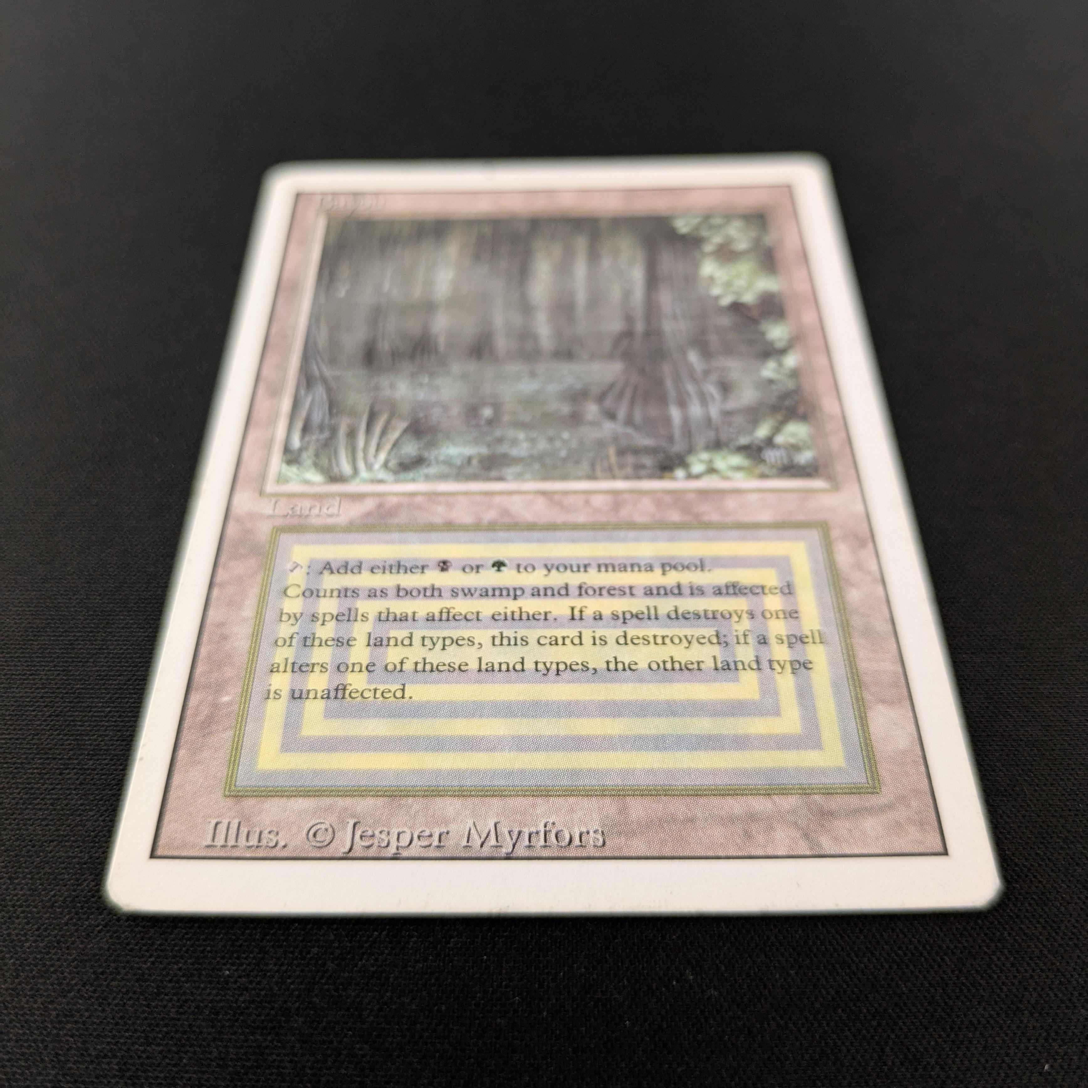 MTG Singles - Bayou - Revised - 