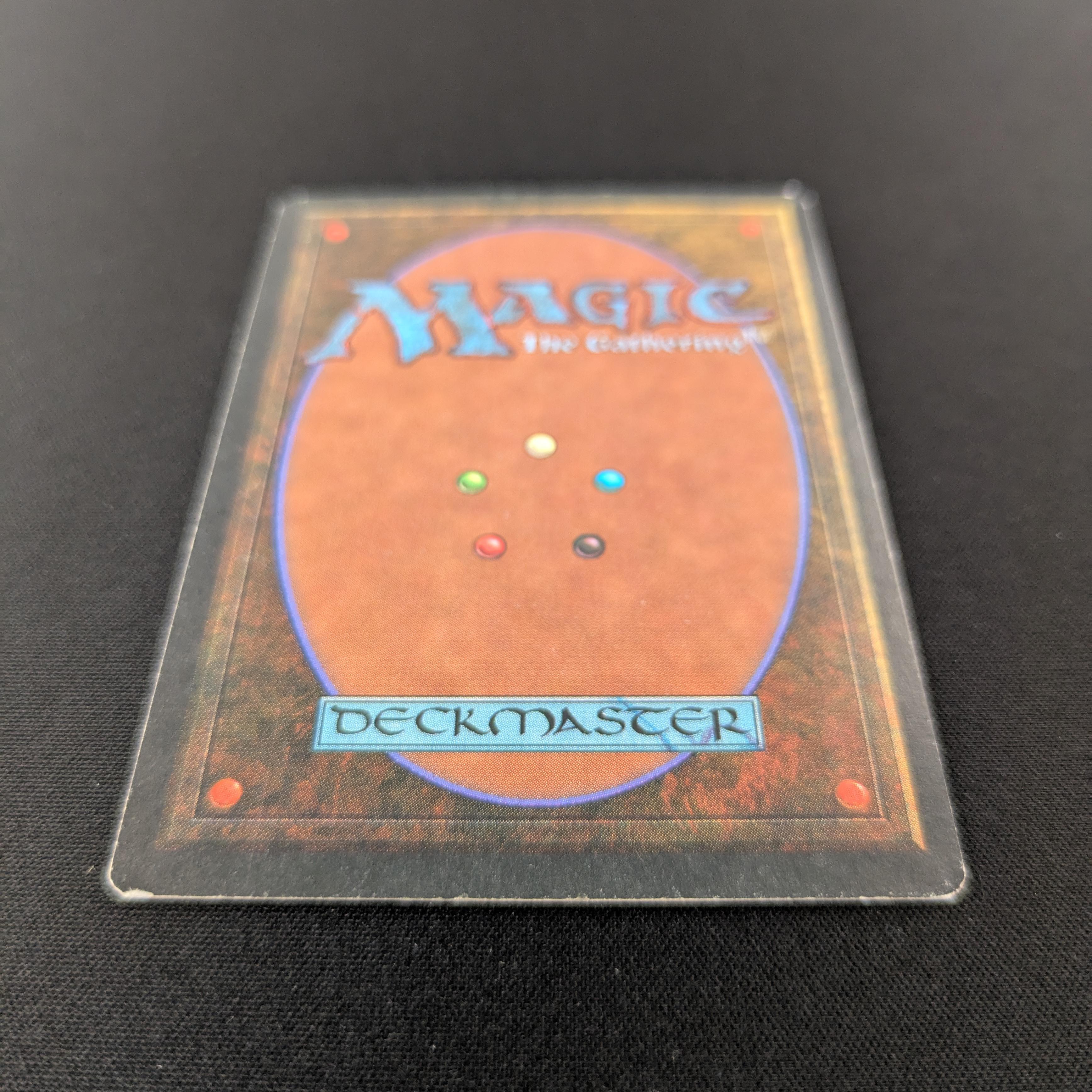 MTG Singles - Bayou - Revised - 