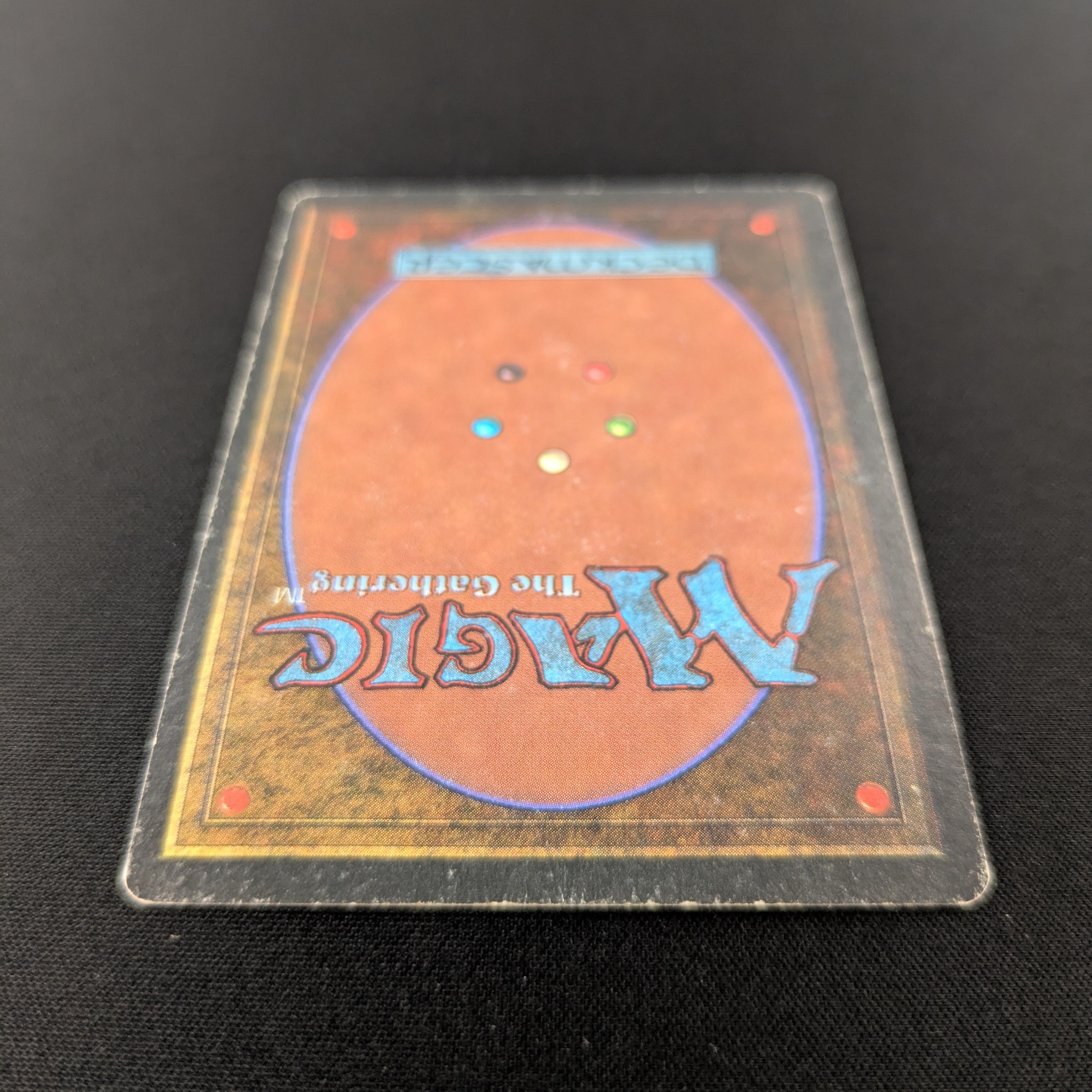 MTG Singles - Bayou - Revised - 