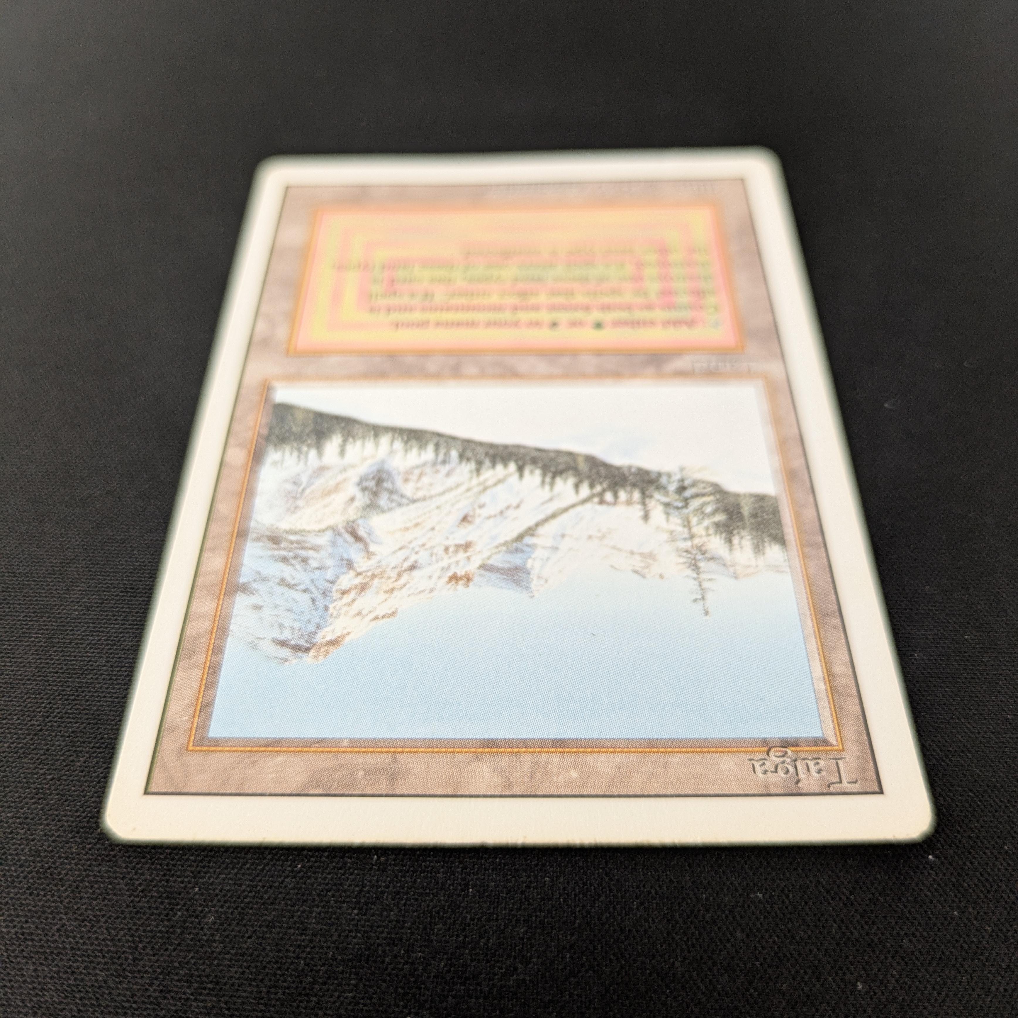 MTG Singles - Taiga - Revised - 