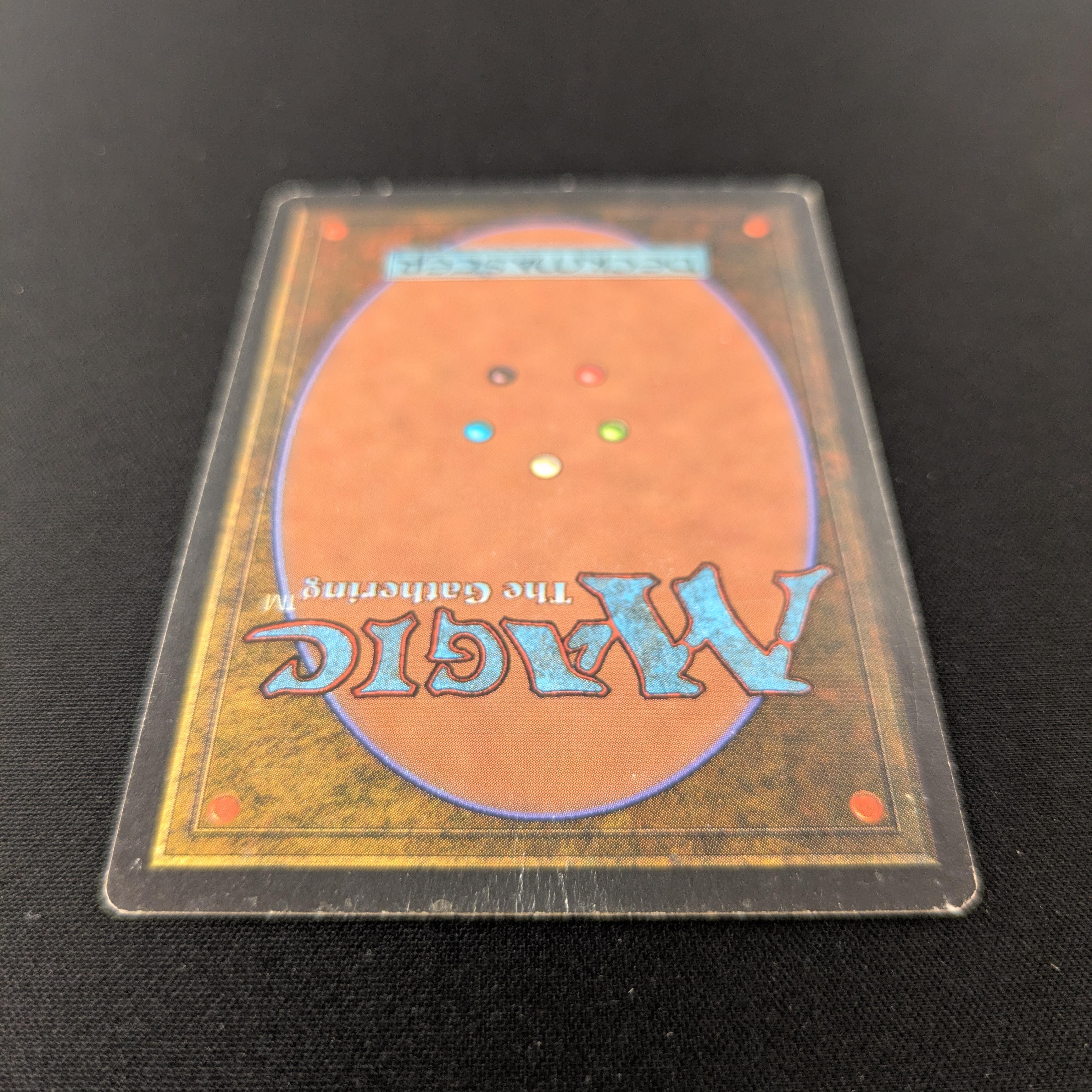 MTG Singles - Taiga - Revised - 