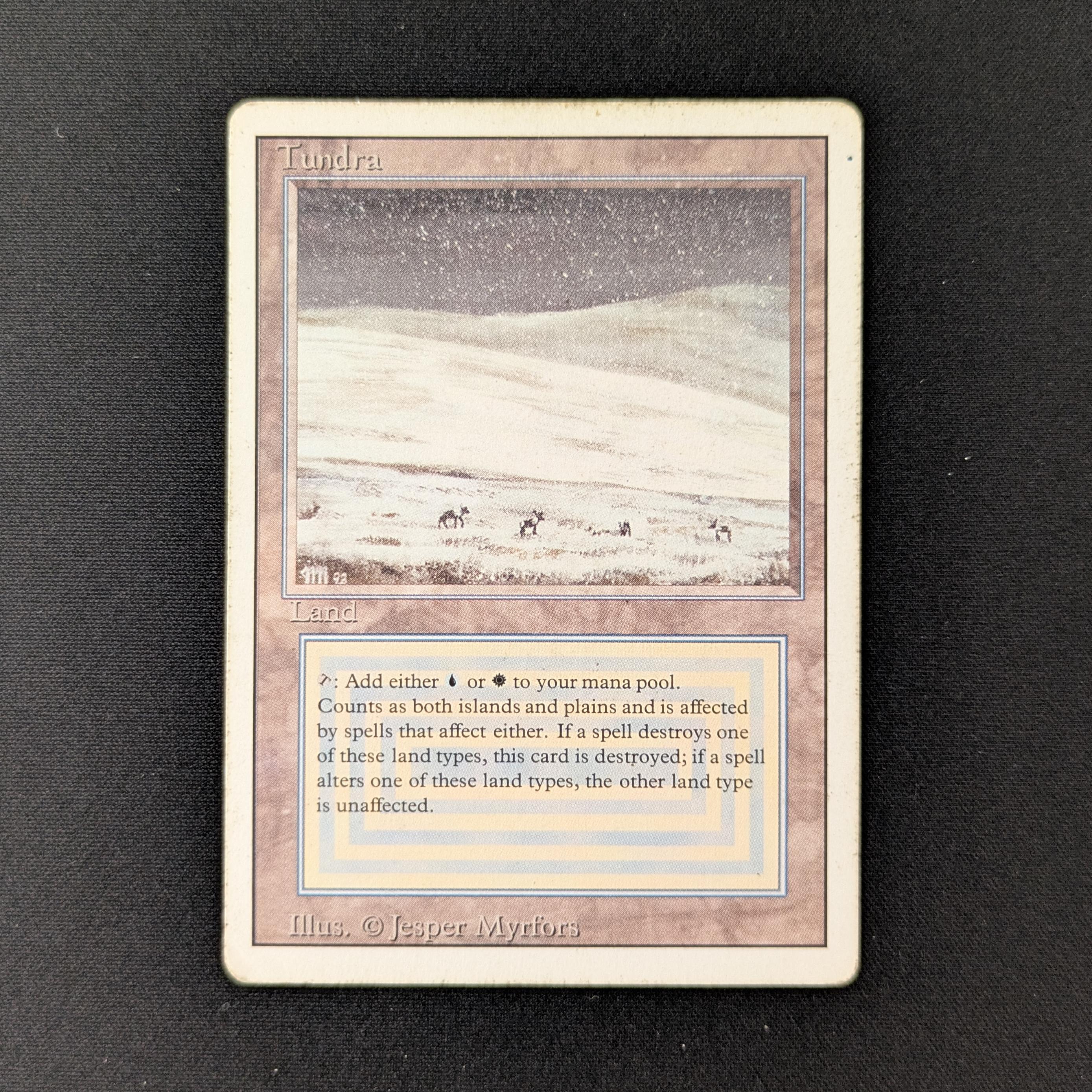 MTG Singles - Tundra - Revised - PL - 27052