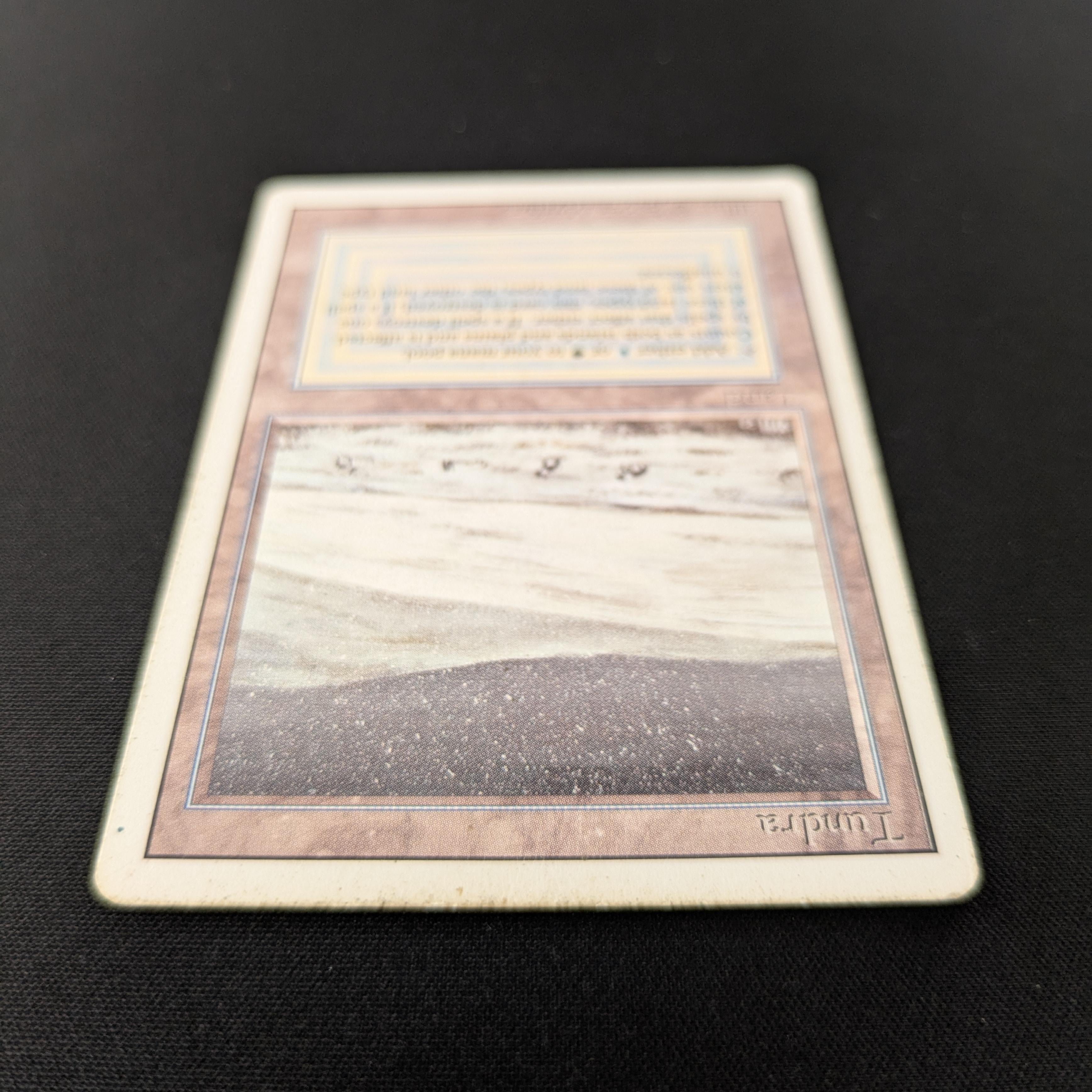 MTG Singles - Tundra - Revised - 