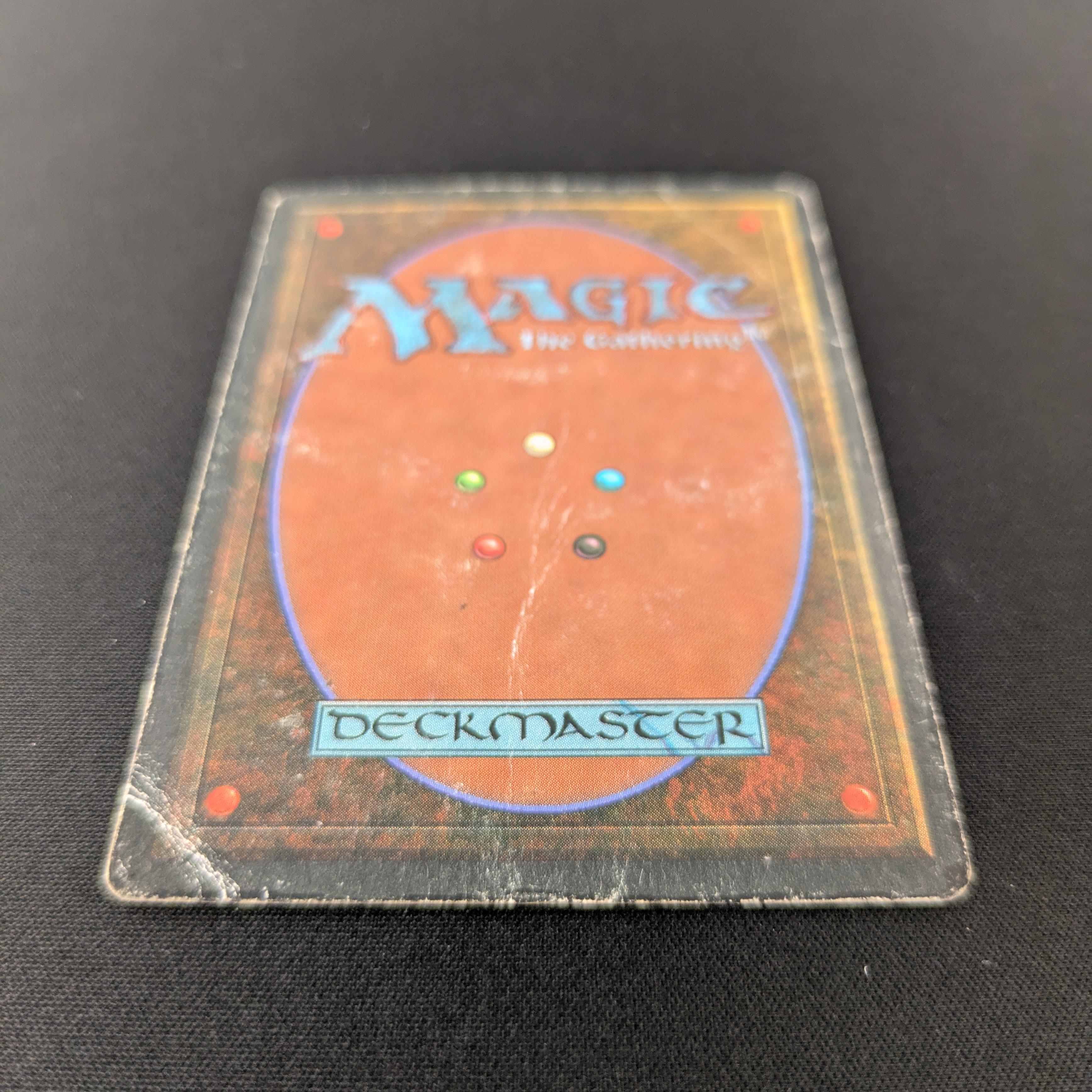 MTG Singles - Tundra - Revised - 