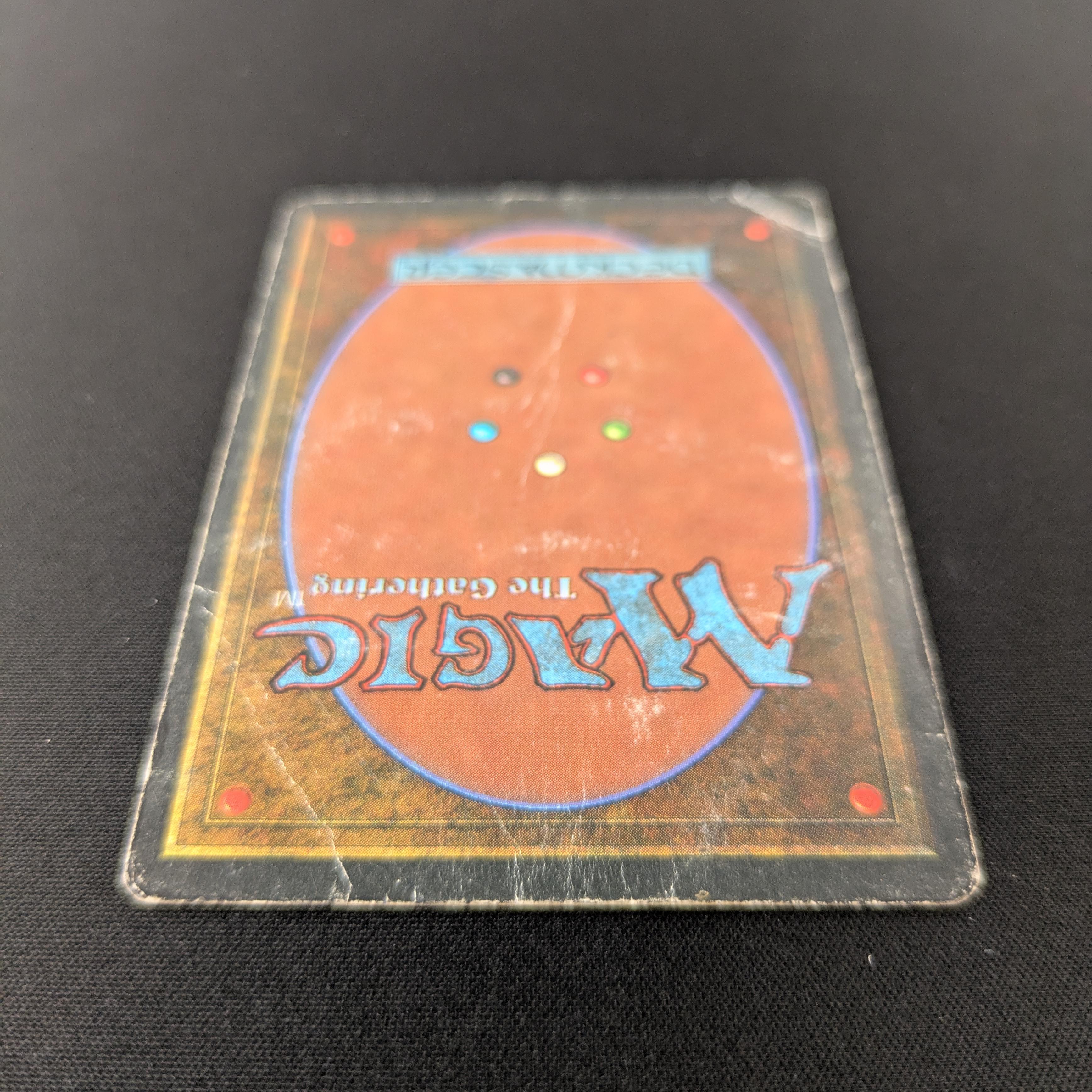 MTG Singles - Tundra - Revised - 