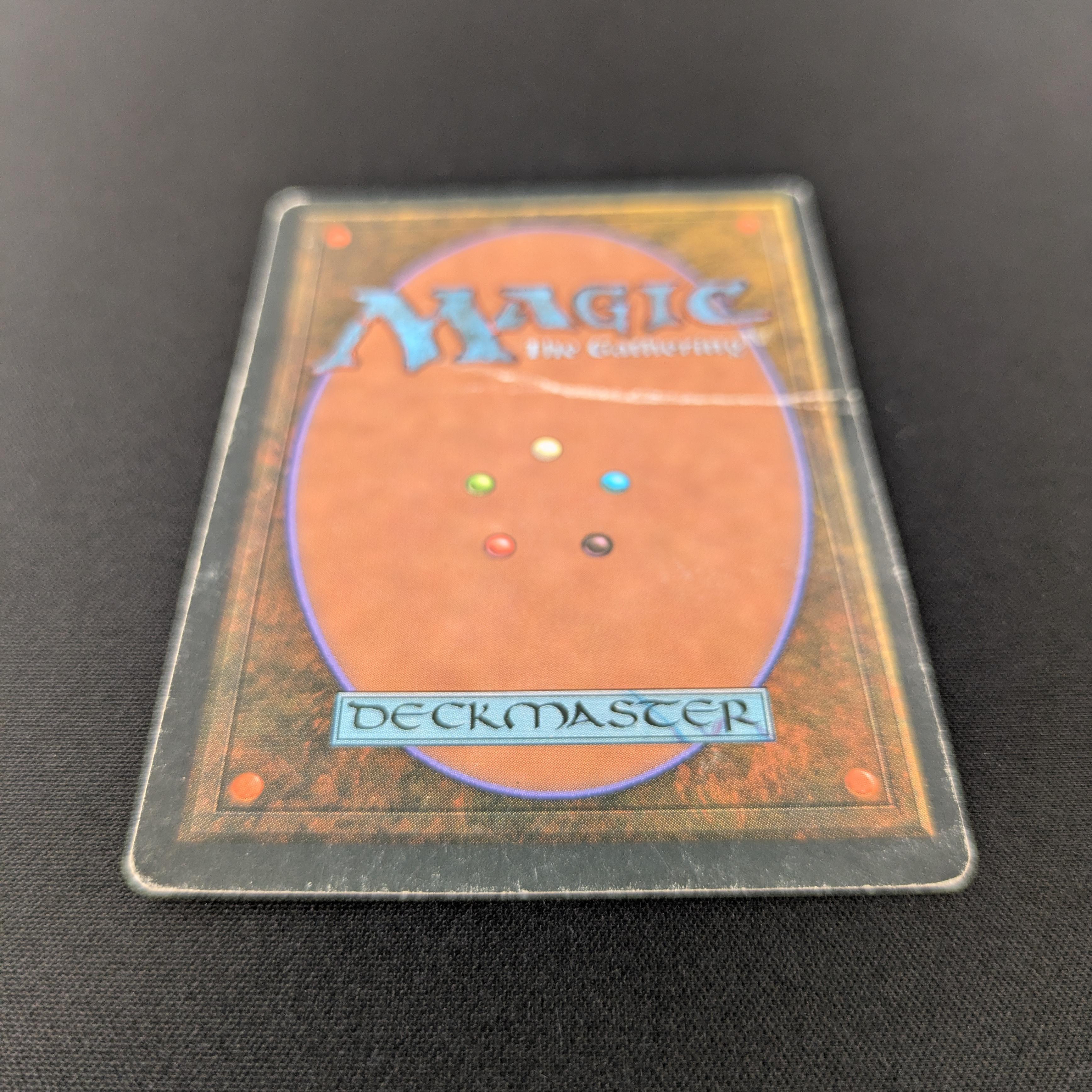 MTG Singles - Bayou - Foreign White Bordered - 