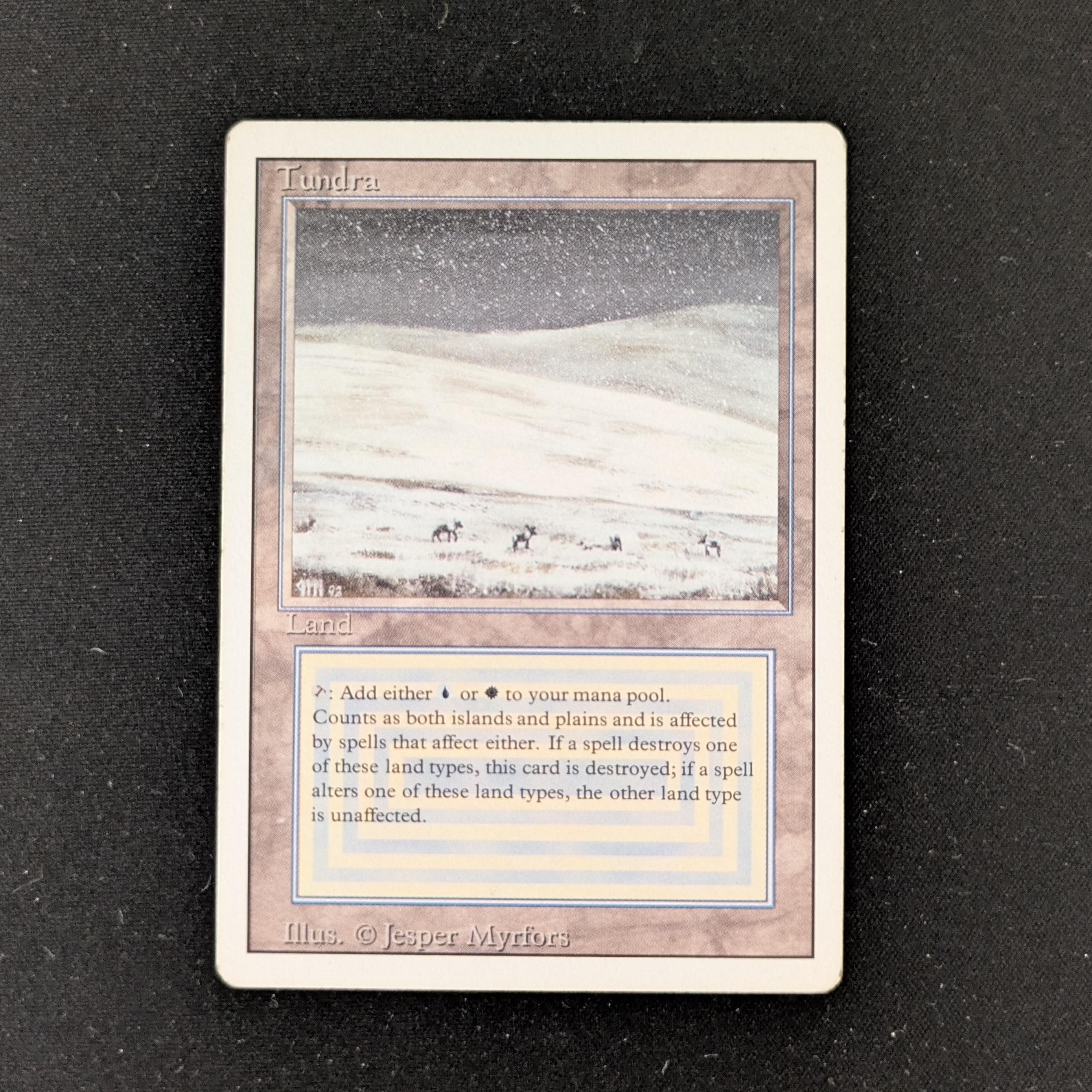 MTG Singles - Tundra - Revised - 