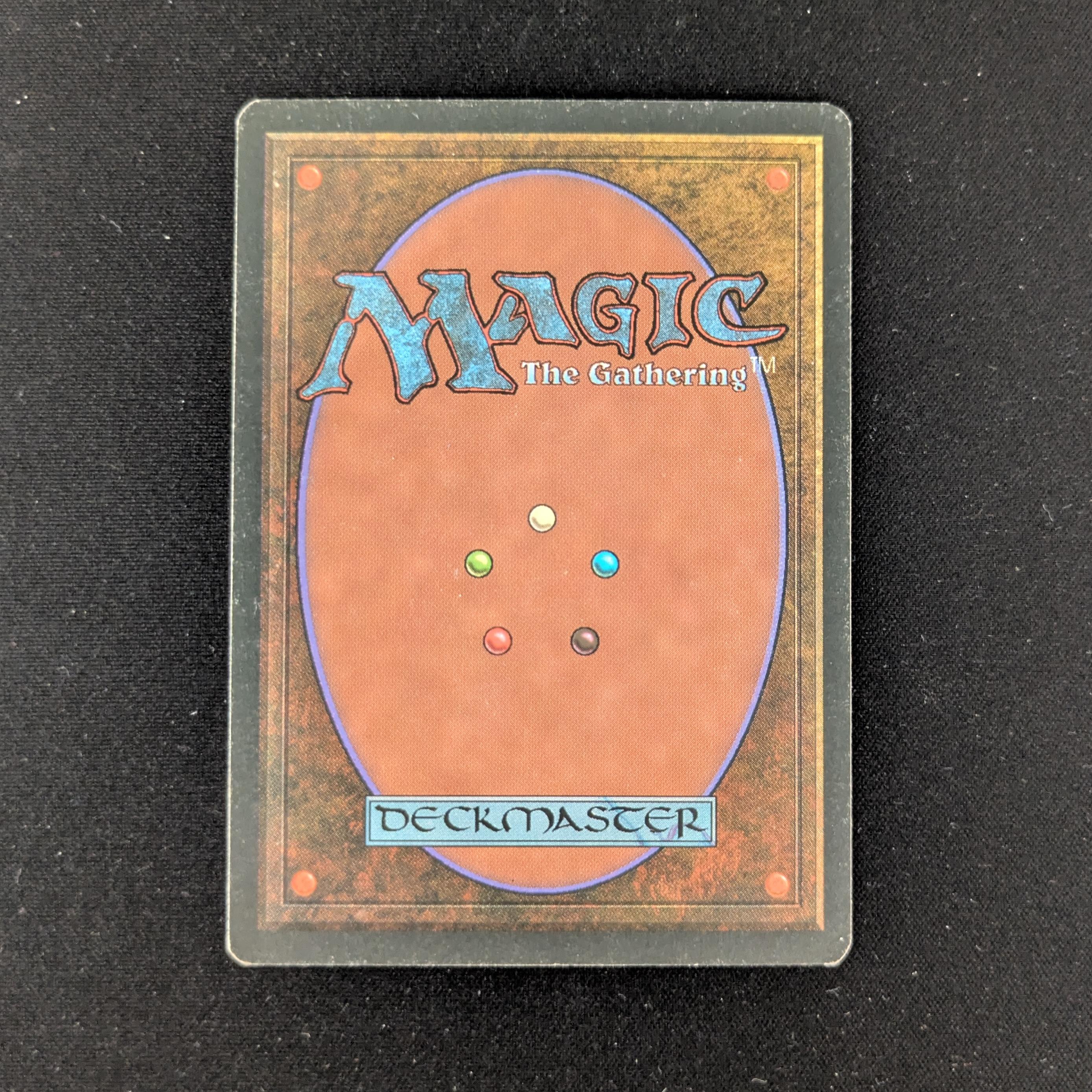 MTG Singles - Bayou - Foreign White Bordered - 