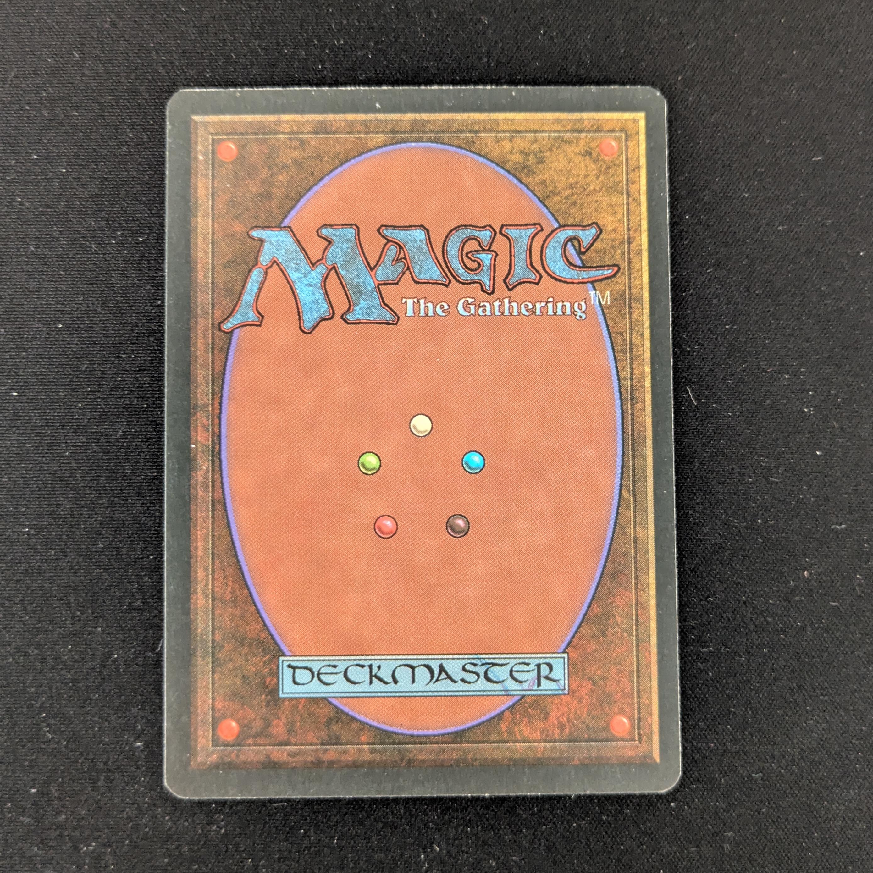 MTG Singles - Taiga - Foreign White Bordered - 