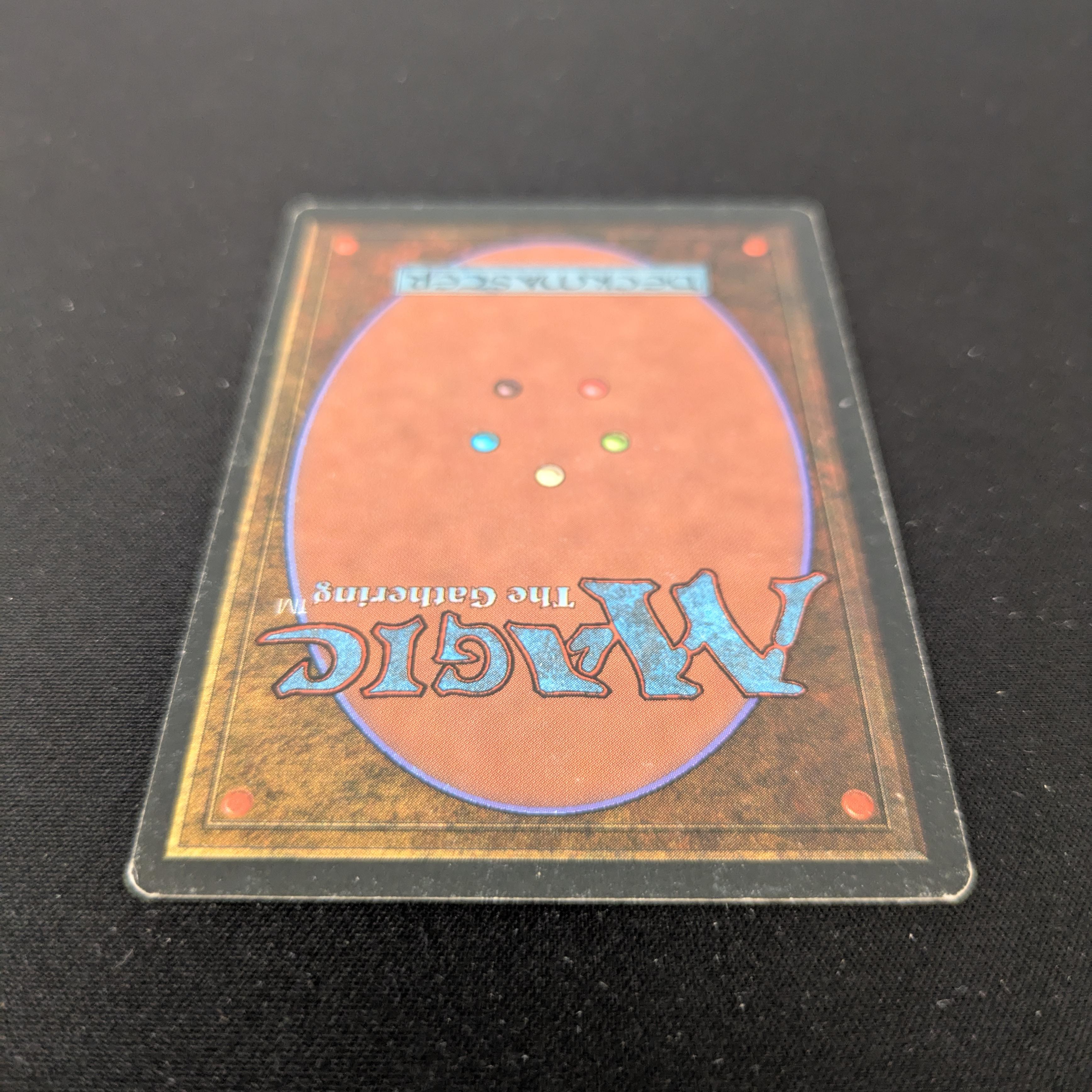 MTG Singles - Taiga - Foreign White Bordered - 