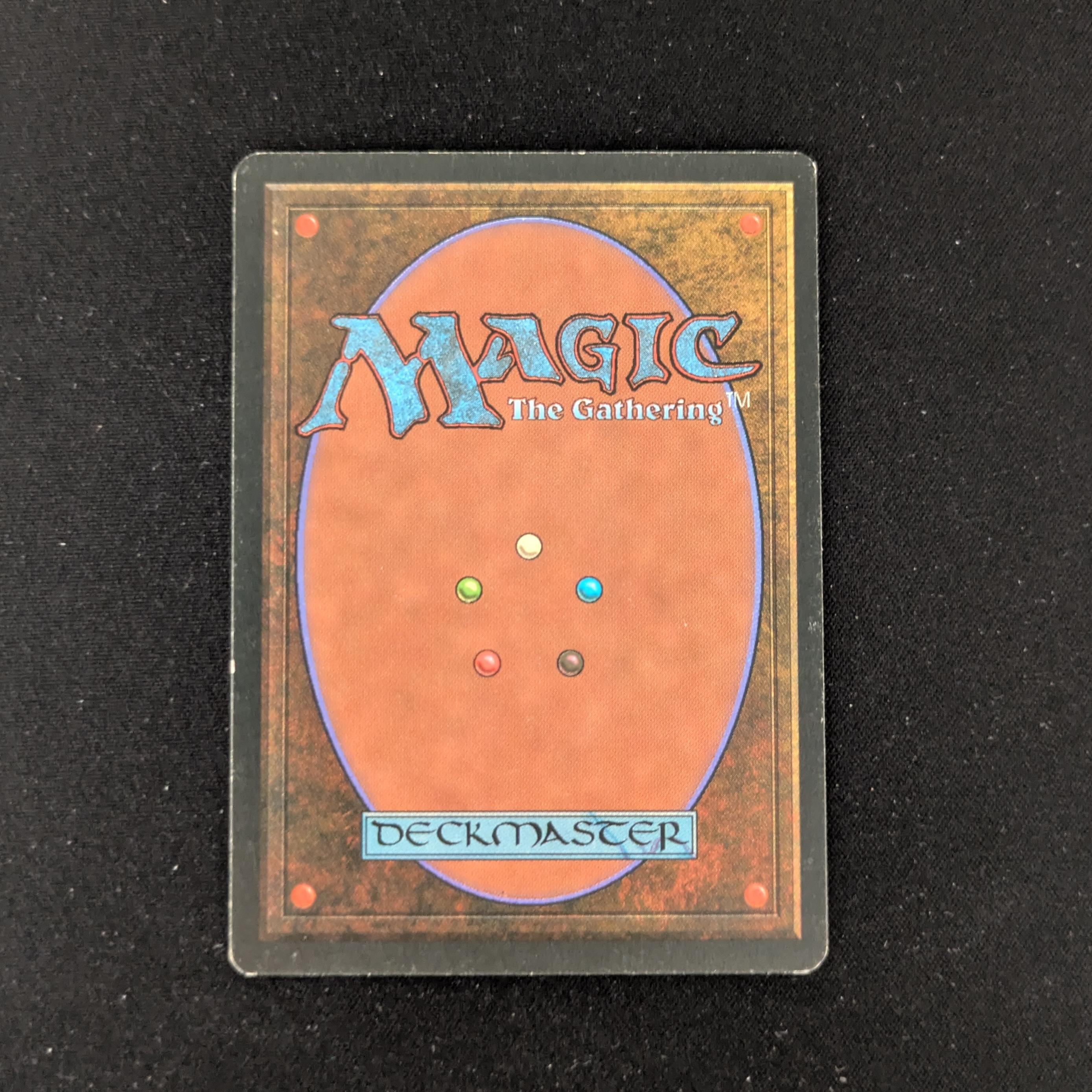 MTG Singles - Bayou - Foreign Black Bordered - 