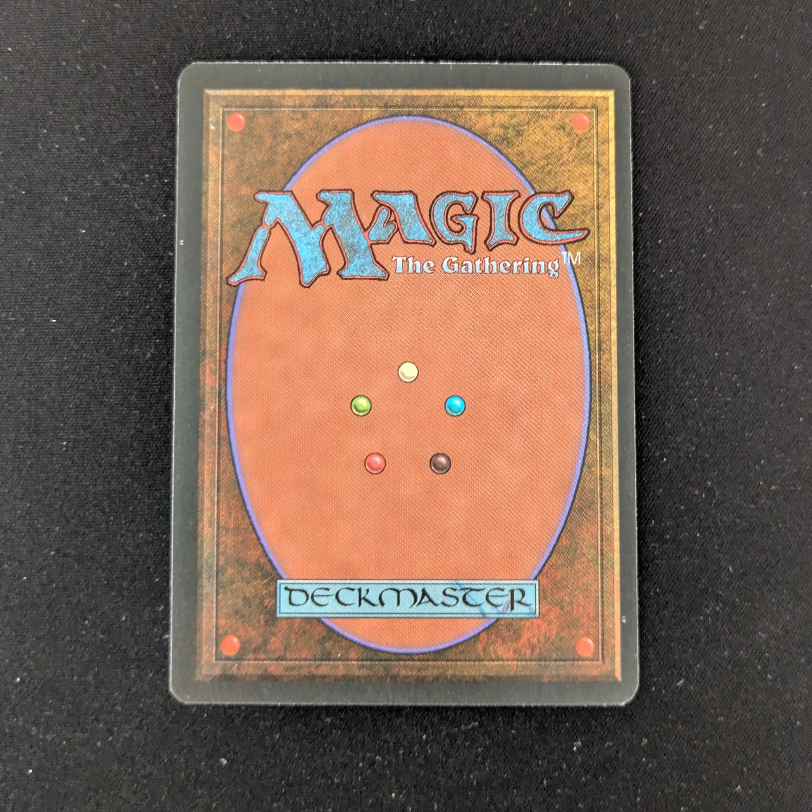 MTG Singles - Tundra - Foreign Black Bordered - 