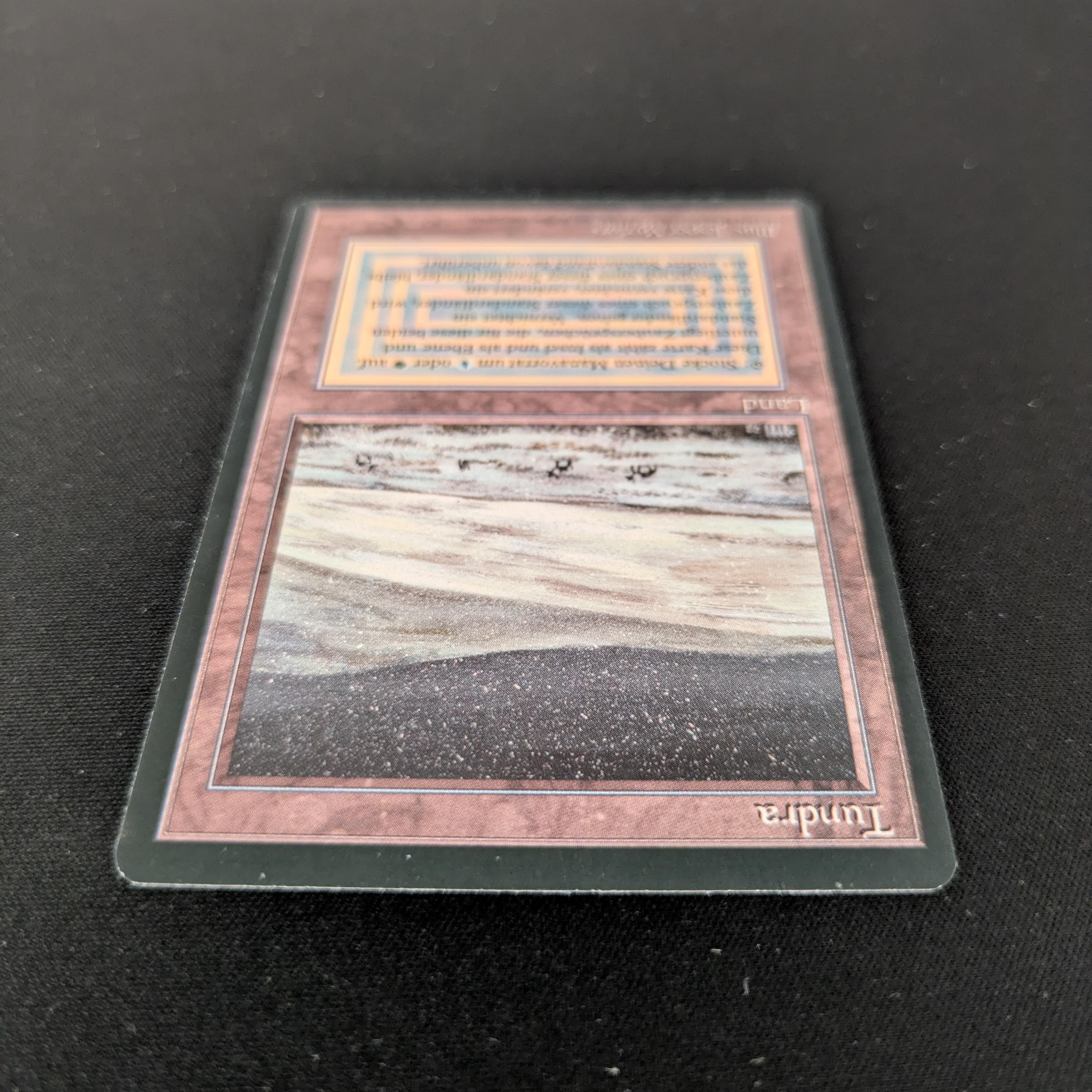 MTG Singles - Tundra - Foreign Black Bordered - 