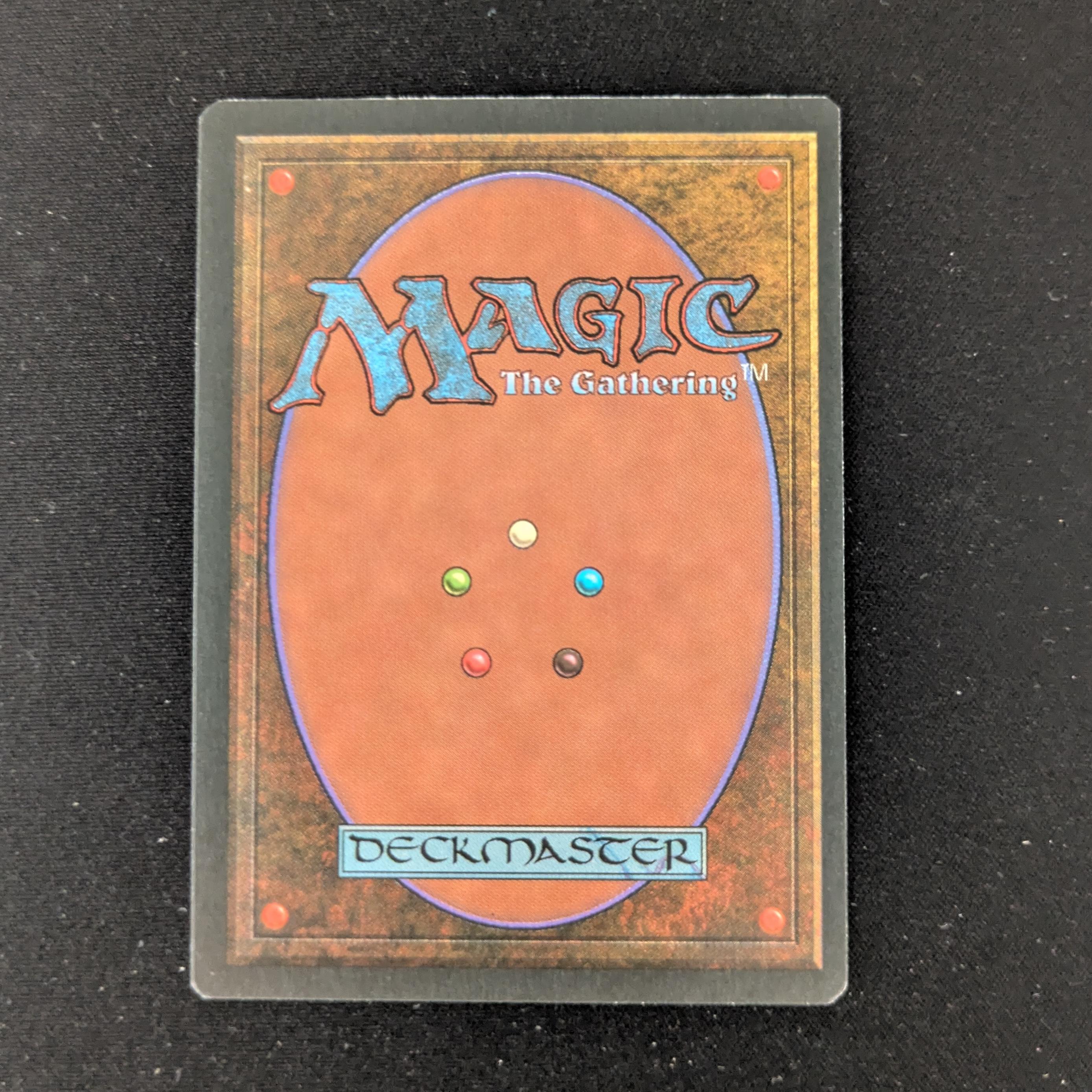 MTG Singles - Tundra - Foreign Black Bordered - 