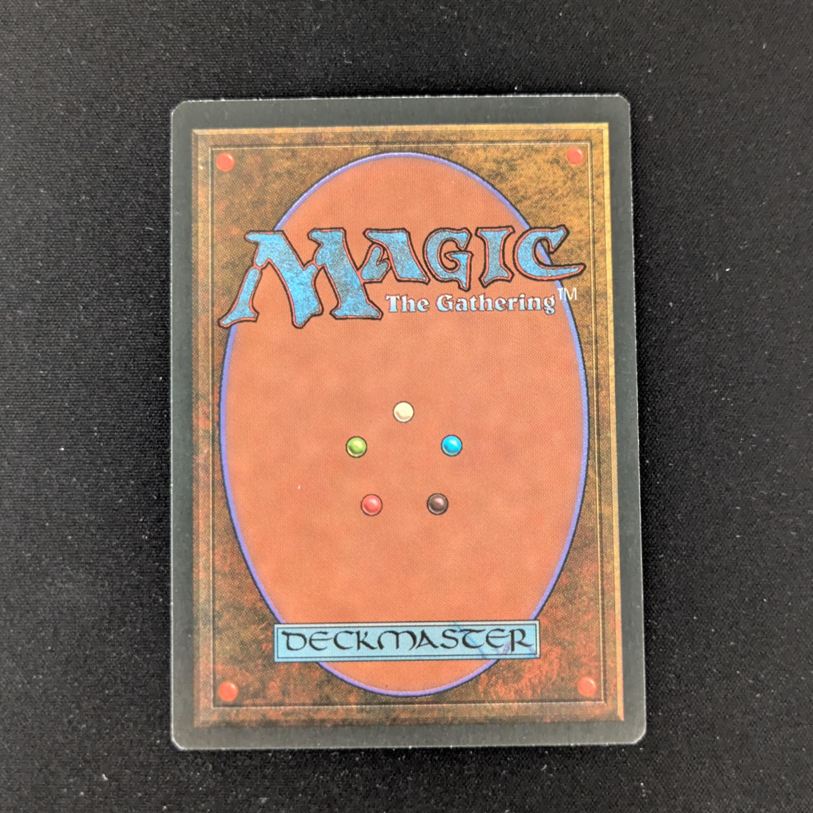 MTG Singles - Tundra - Foreign Black Bordered - 