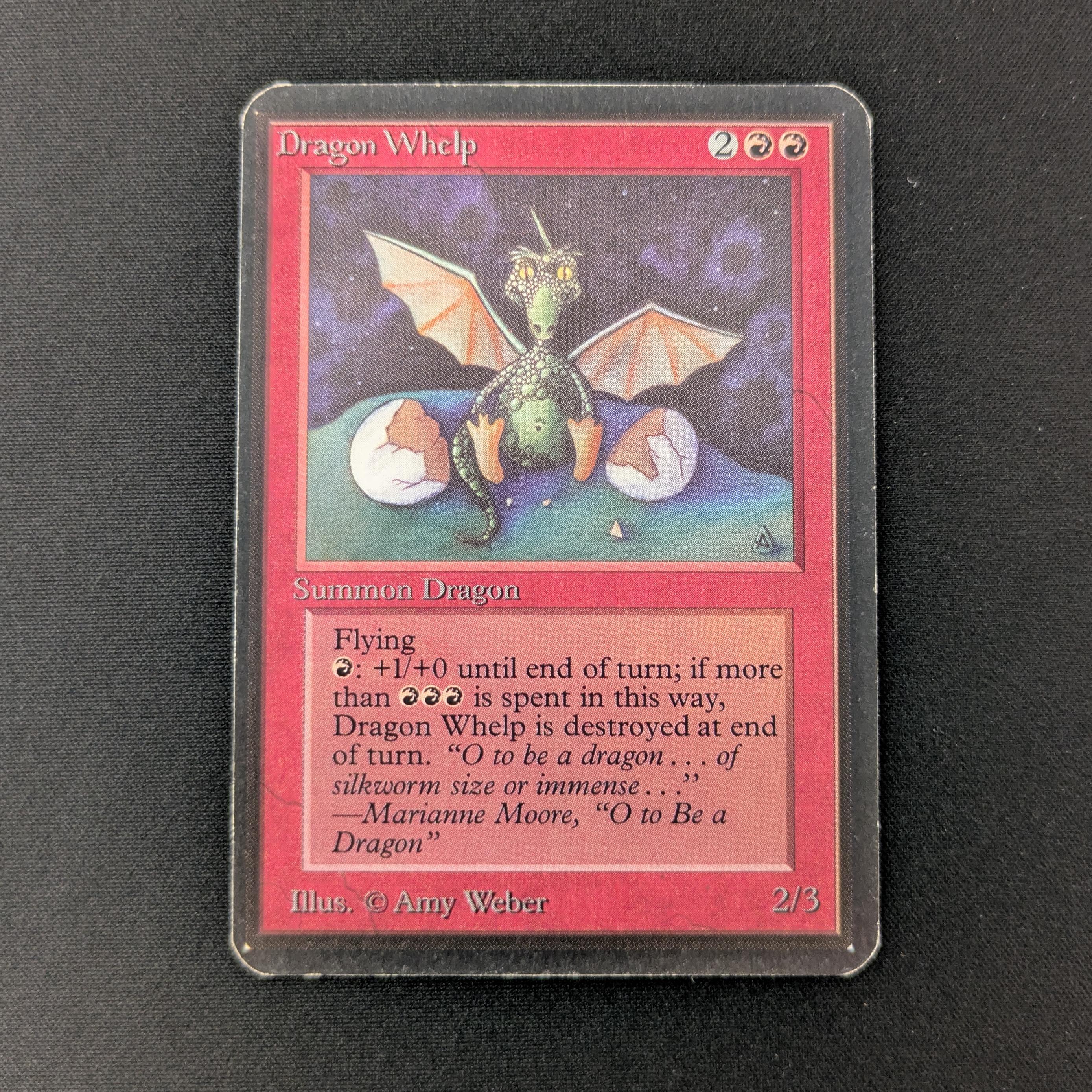 Dragon Whelp - Alpha