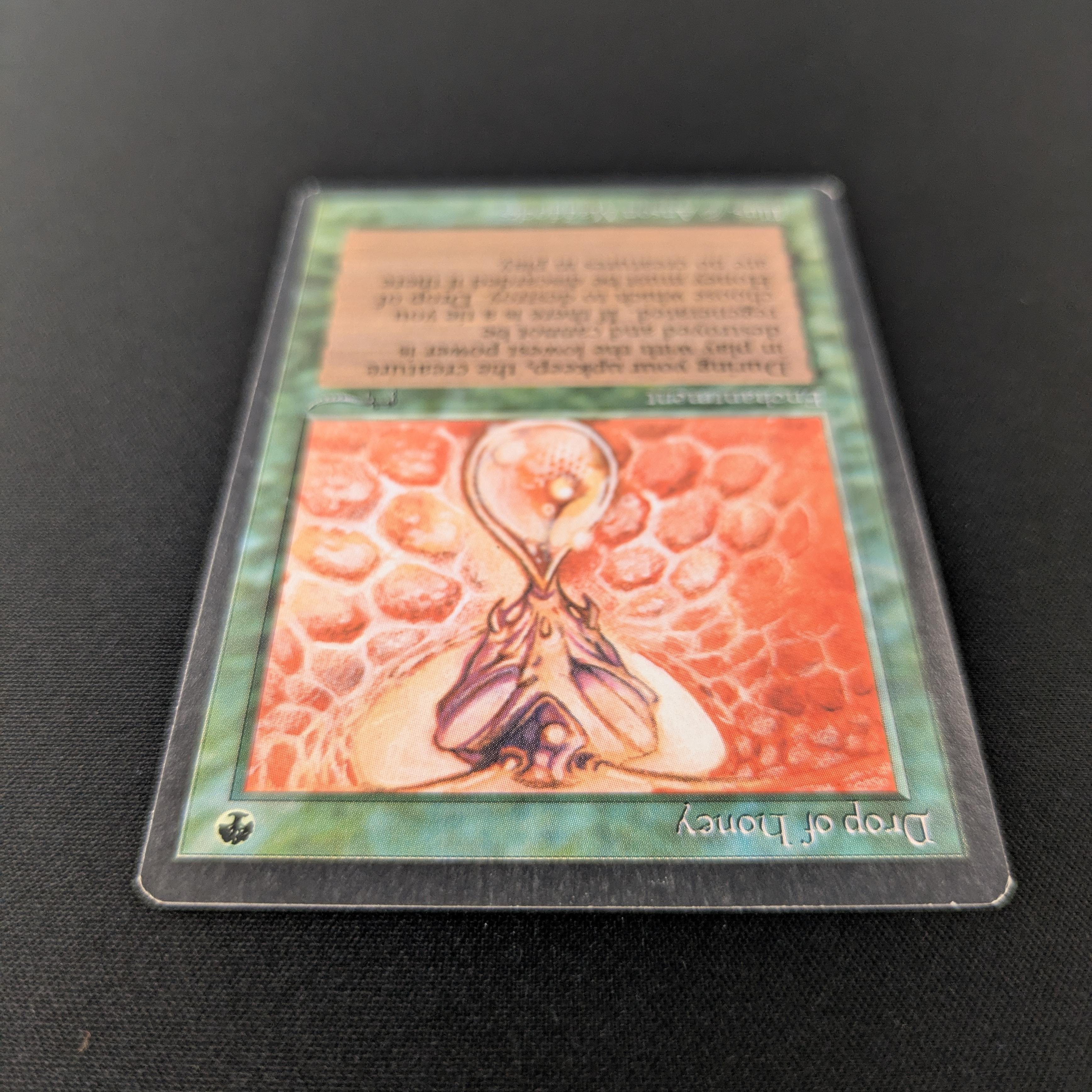 MTG Singles - Drop of Honey - Arabian Nights - 