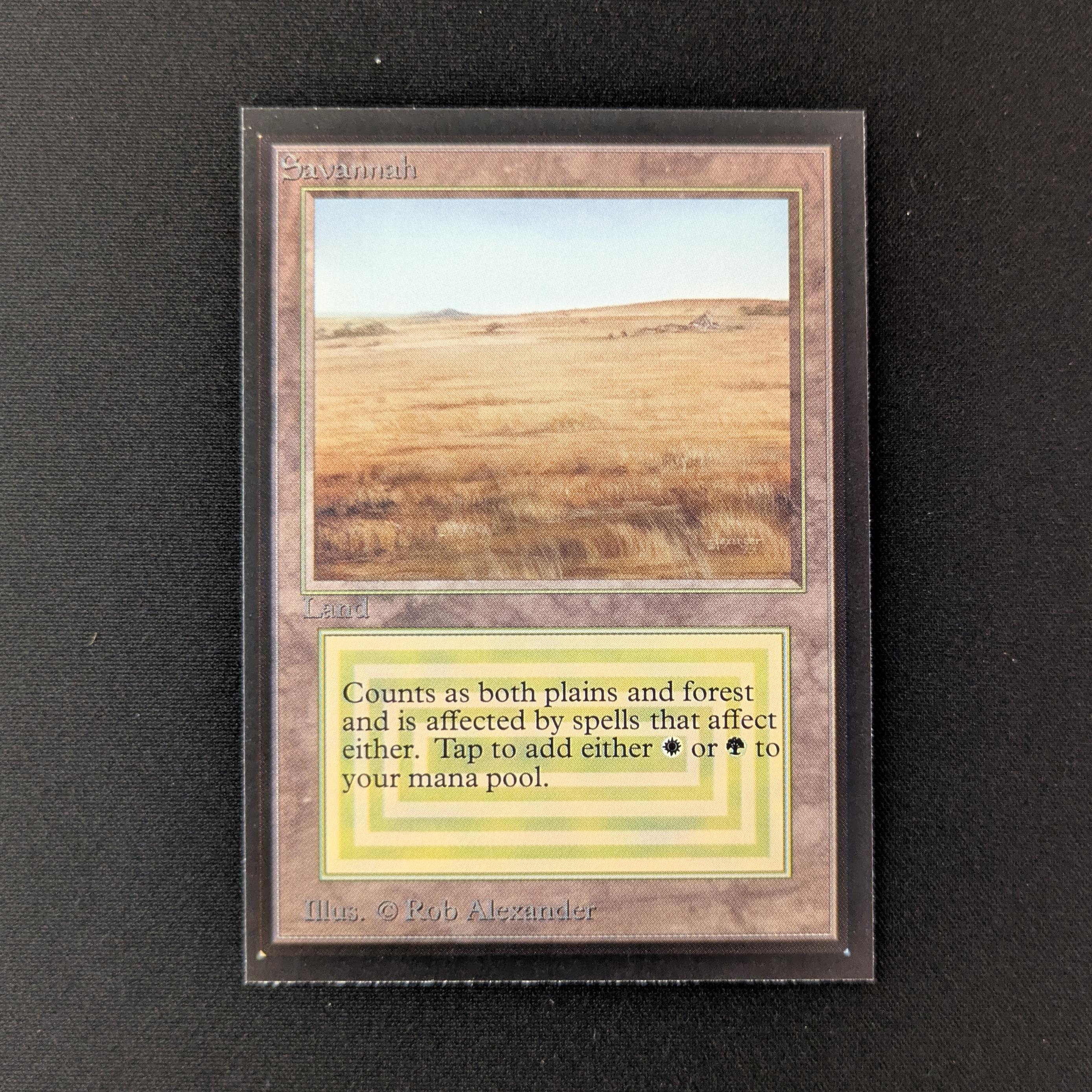 MTG Singles - Savannah - International Edition - 