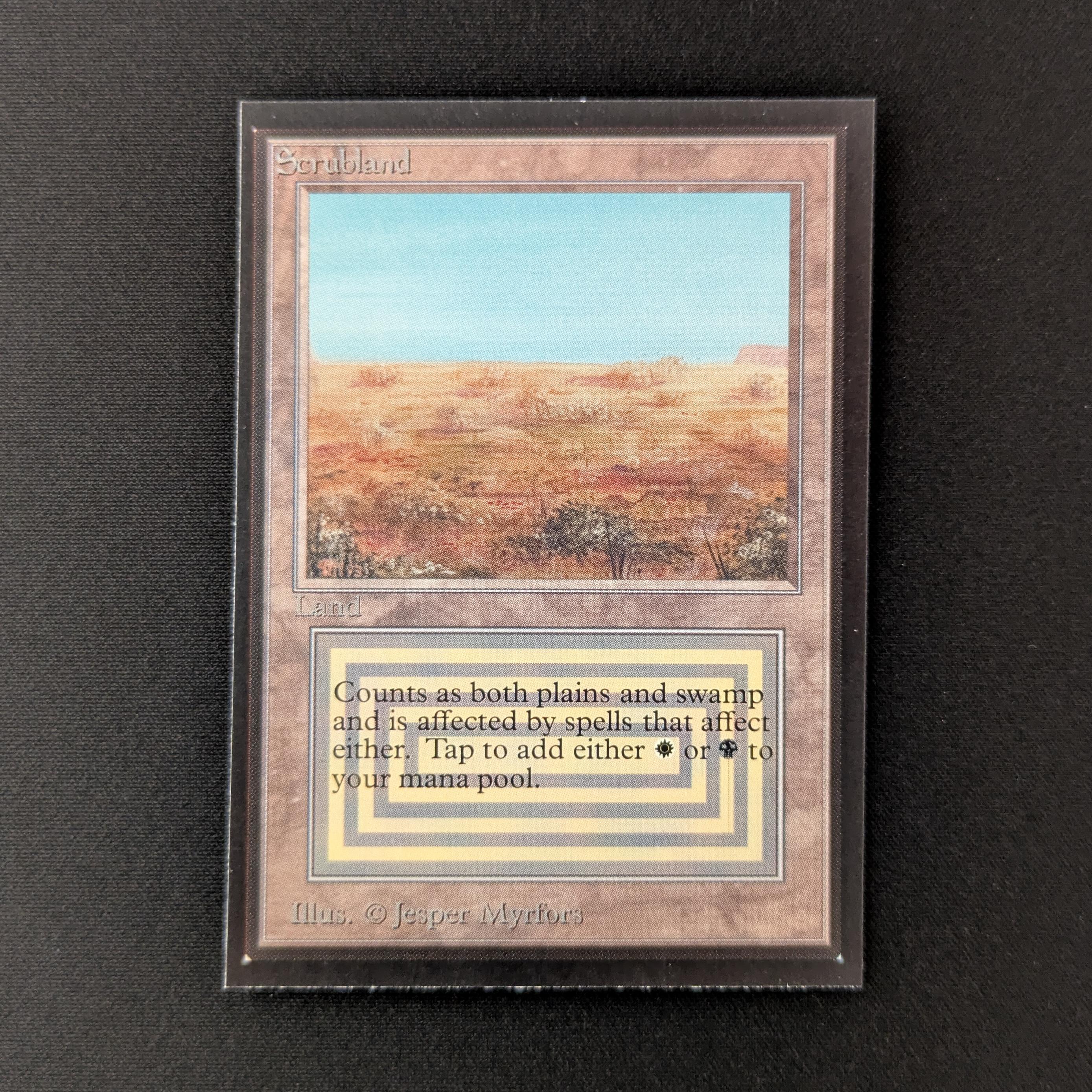 MTG Singles - Scrubland - International Edition - NM - 27418