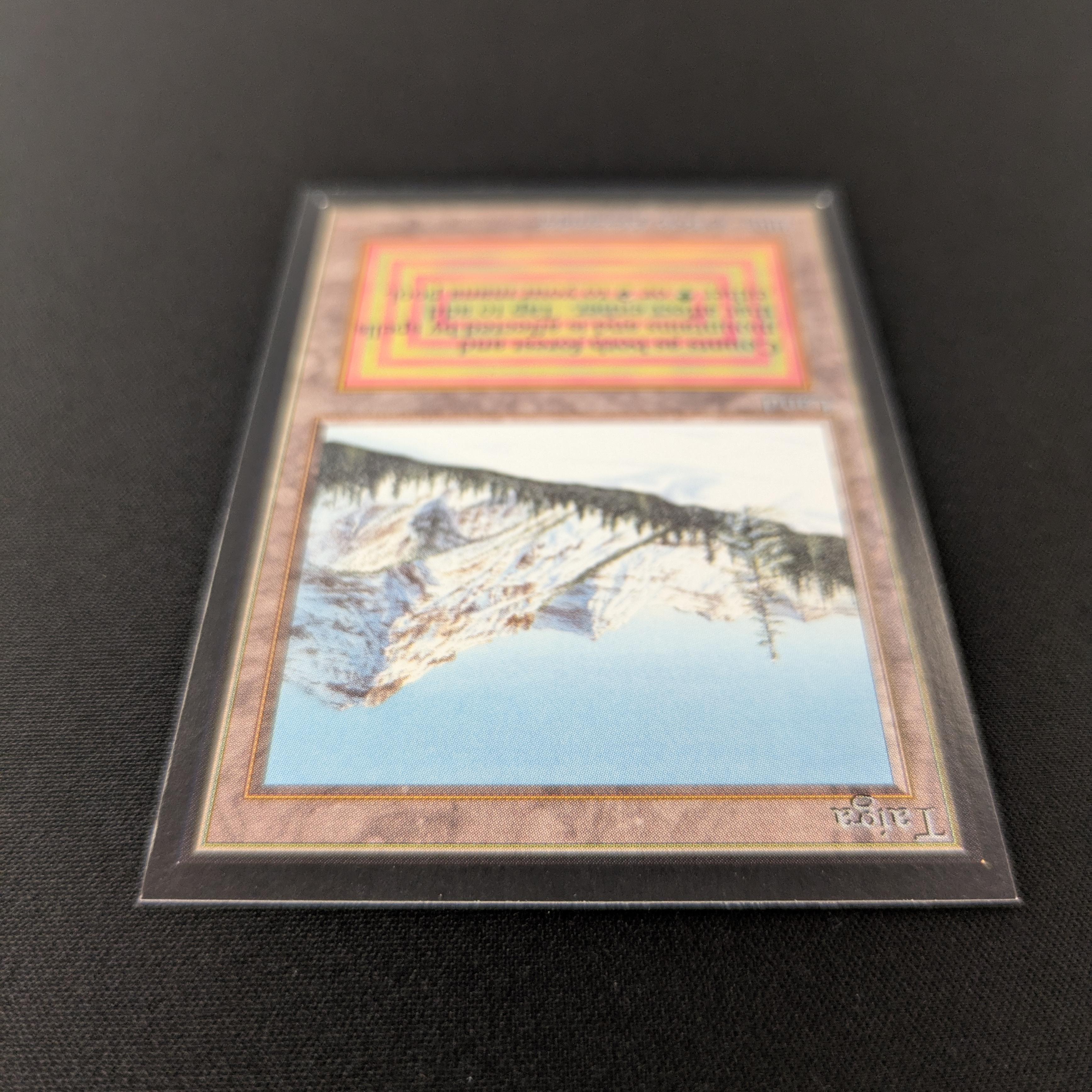 MTG Singles - Taiga - International Edition - 